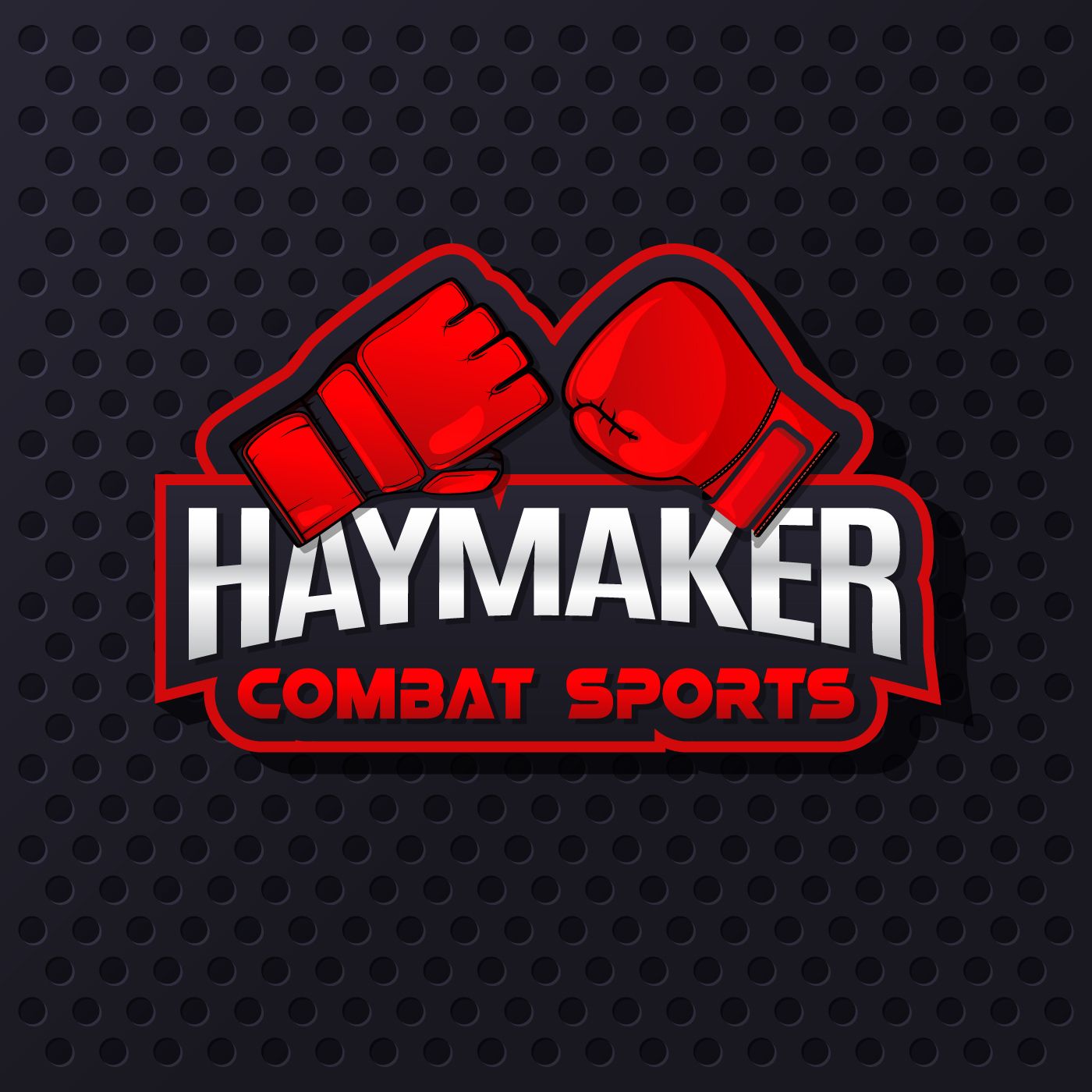 Haymaker Combat Sports cover art