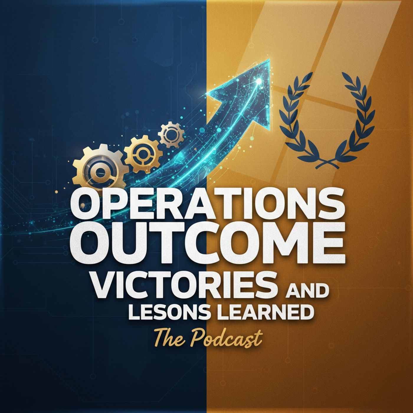 Operations Outcome Victories and Lessons Learned cover art