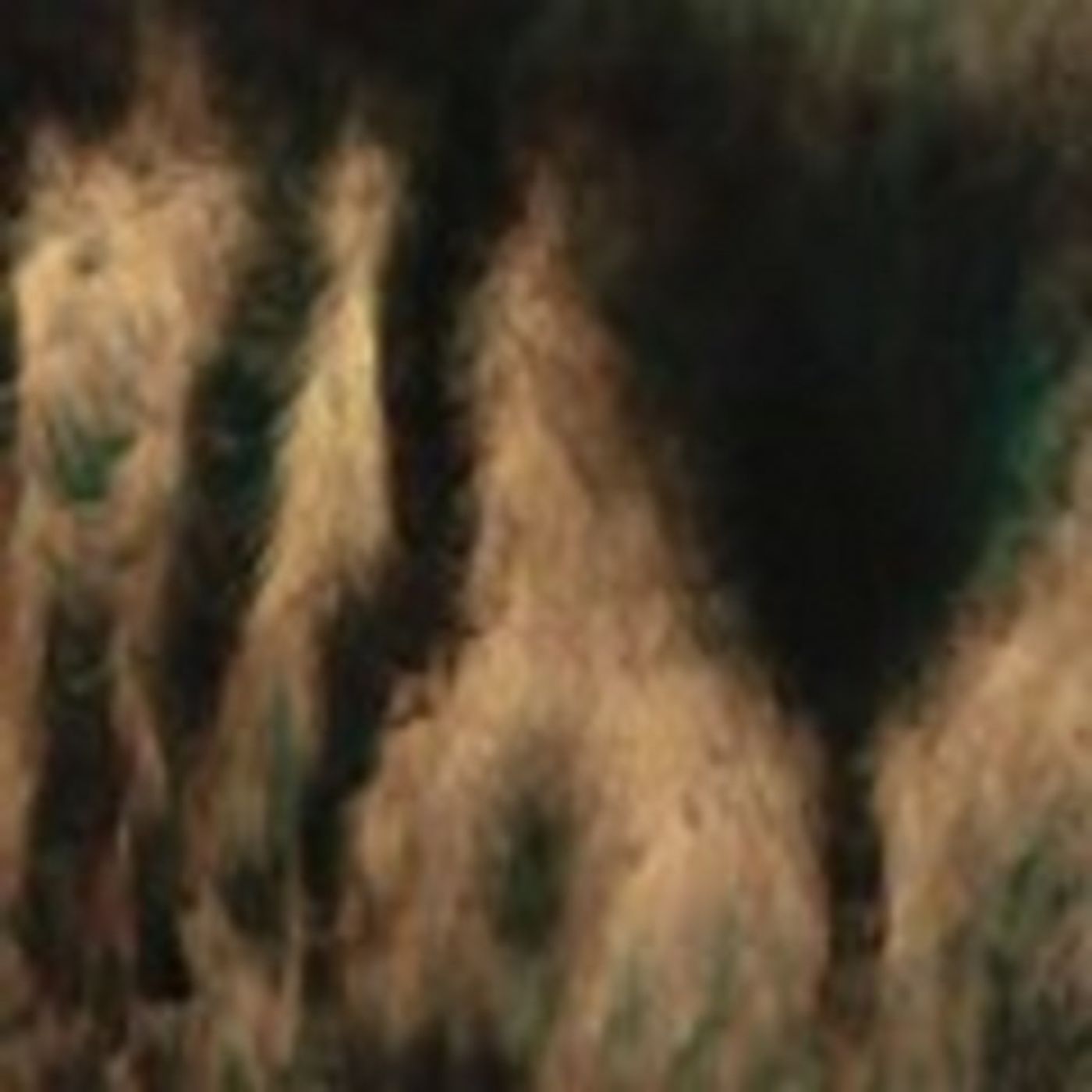 a lamentation episode artwork