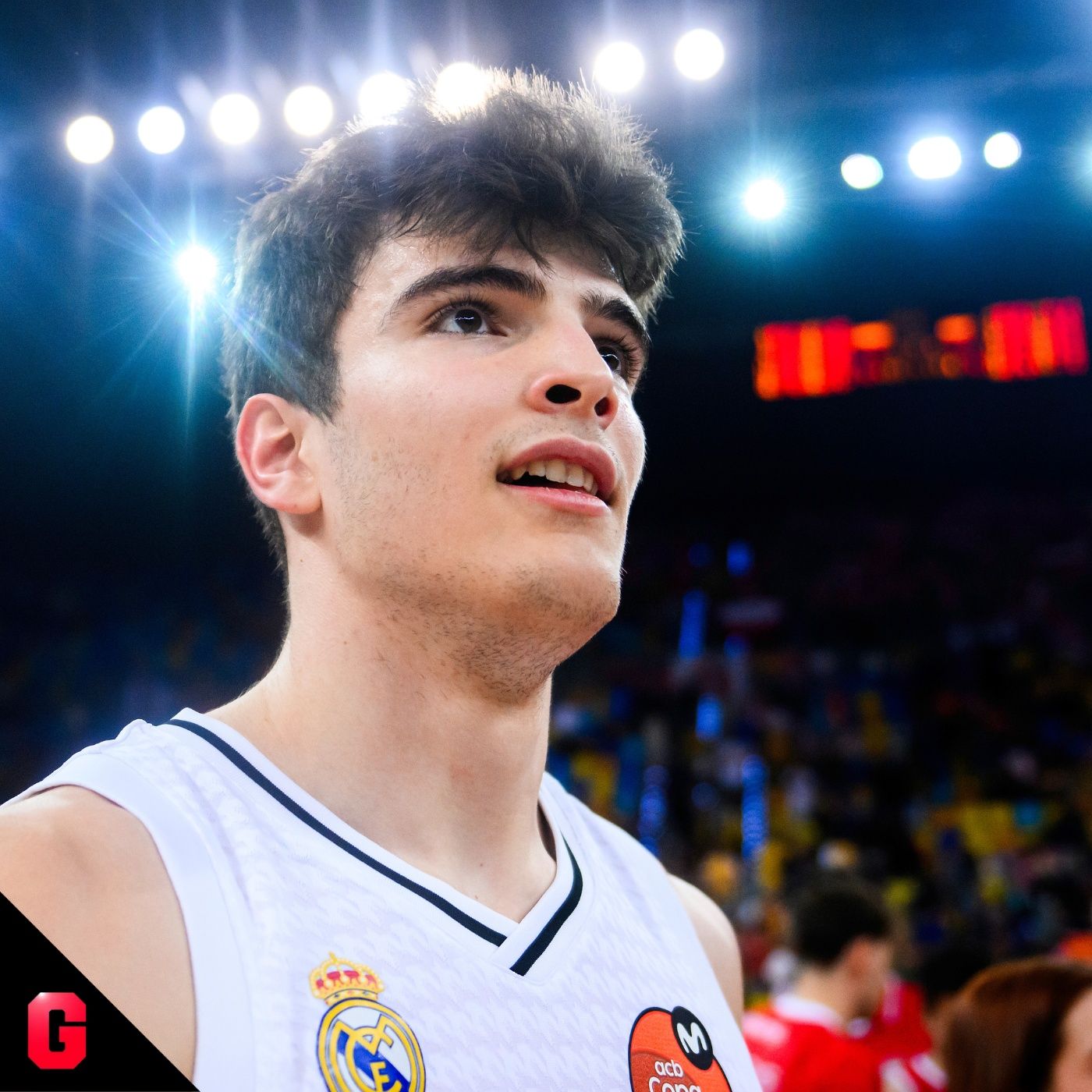 Gigantes Daily, baloncesto al día