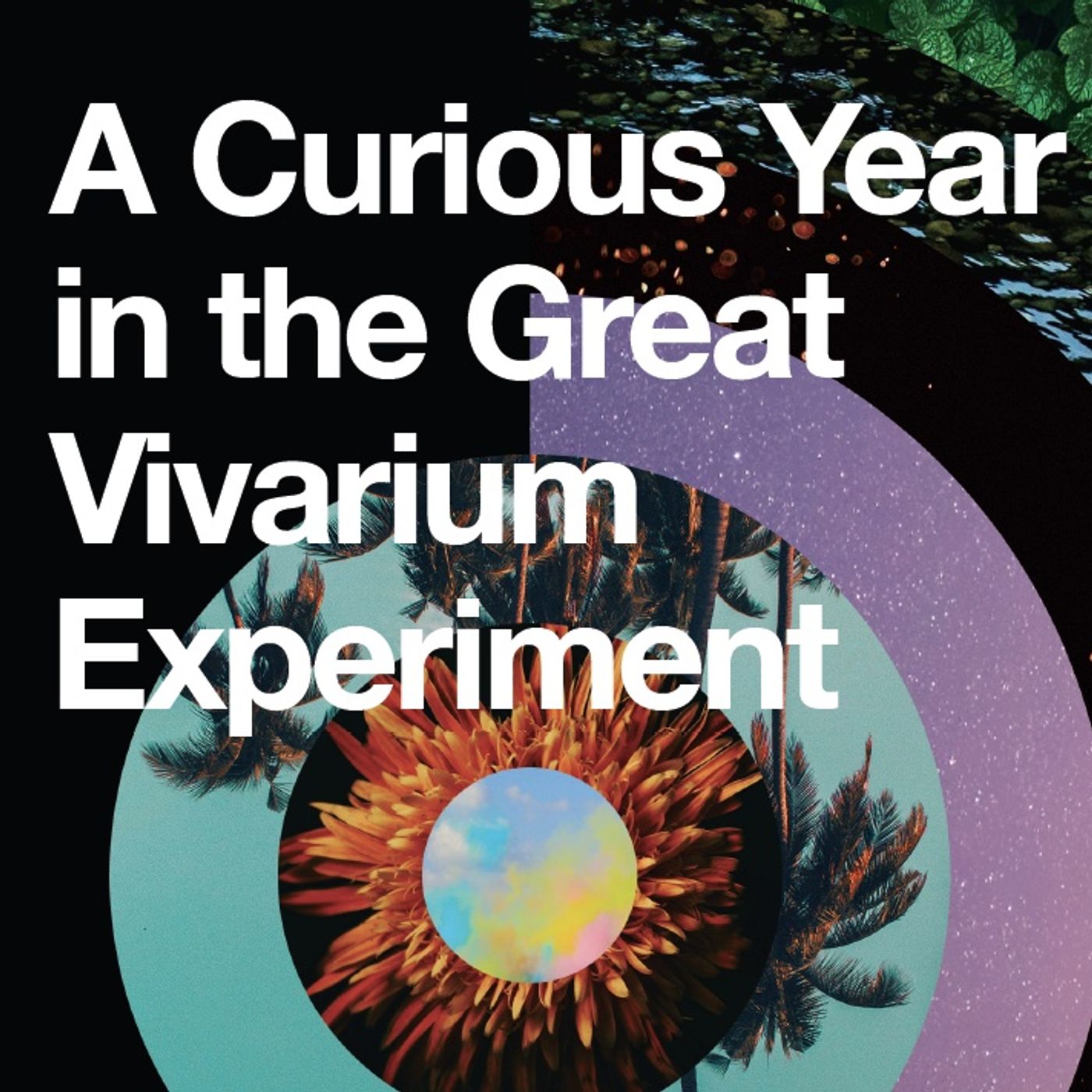 A Curious Year in the Great Vivarium Experiment: A hero's journey with guest Tim Shields episode artwork