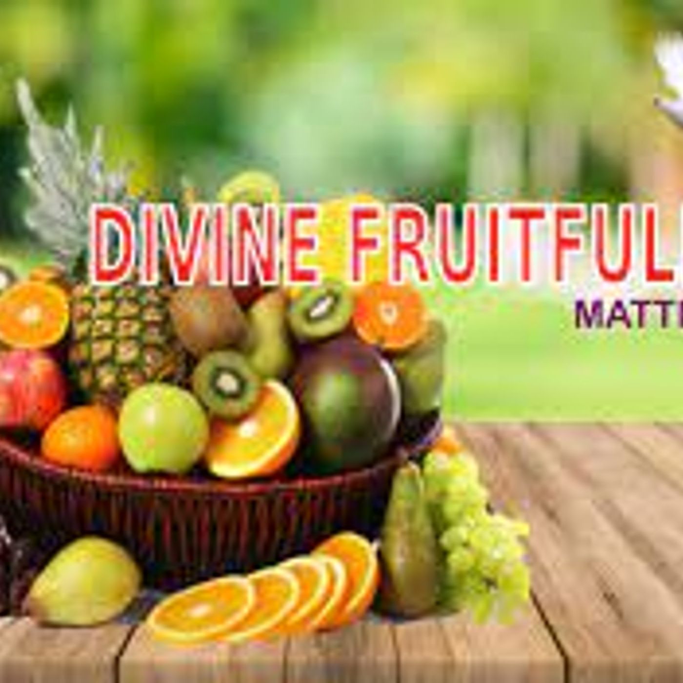 Christian Bible Study  Ministry