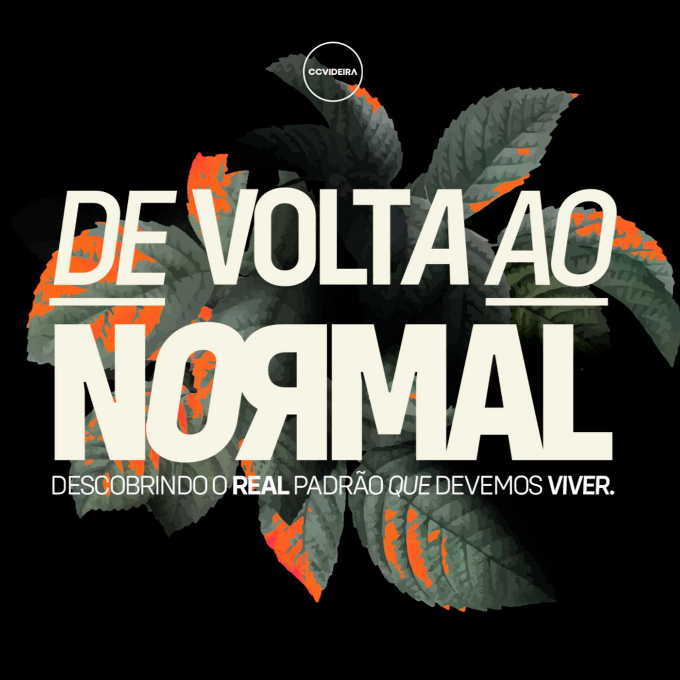 CCVIDEIRA CAPIM MACIO