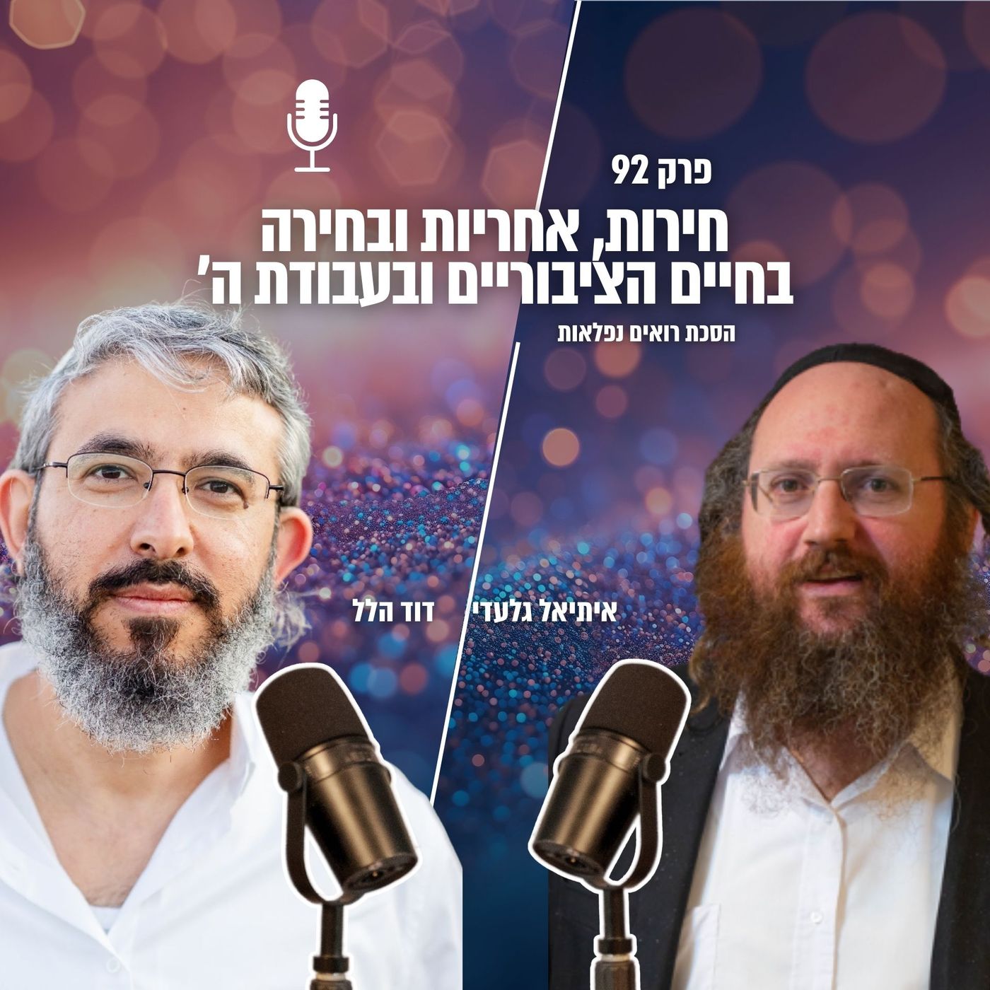חירות, אחריות ובחירה בחיים הציבוריים ובעבודת ה' | פרק 92 | הסכת רואים נפלאות episode artwork