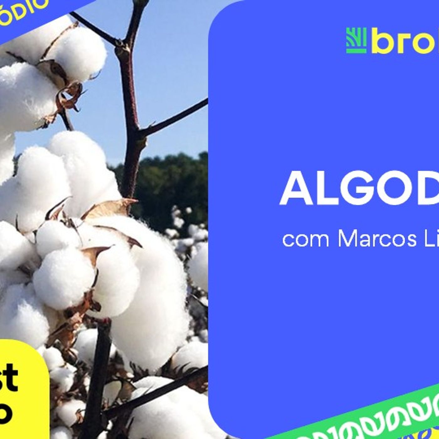 Algodão: Chicago pressionada e redução de área na China e EUA | BBcast Agro - 24/02/2026