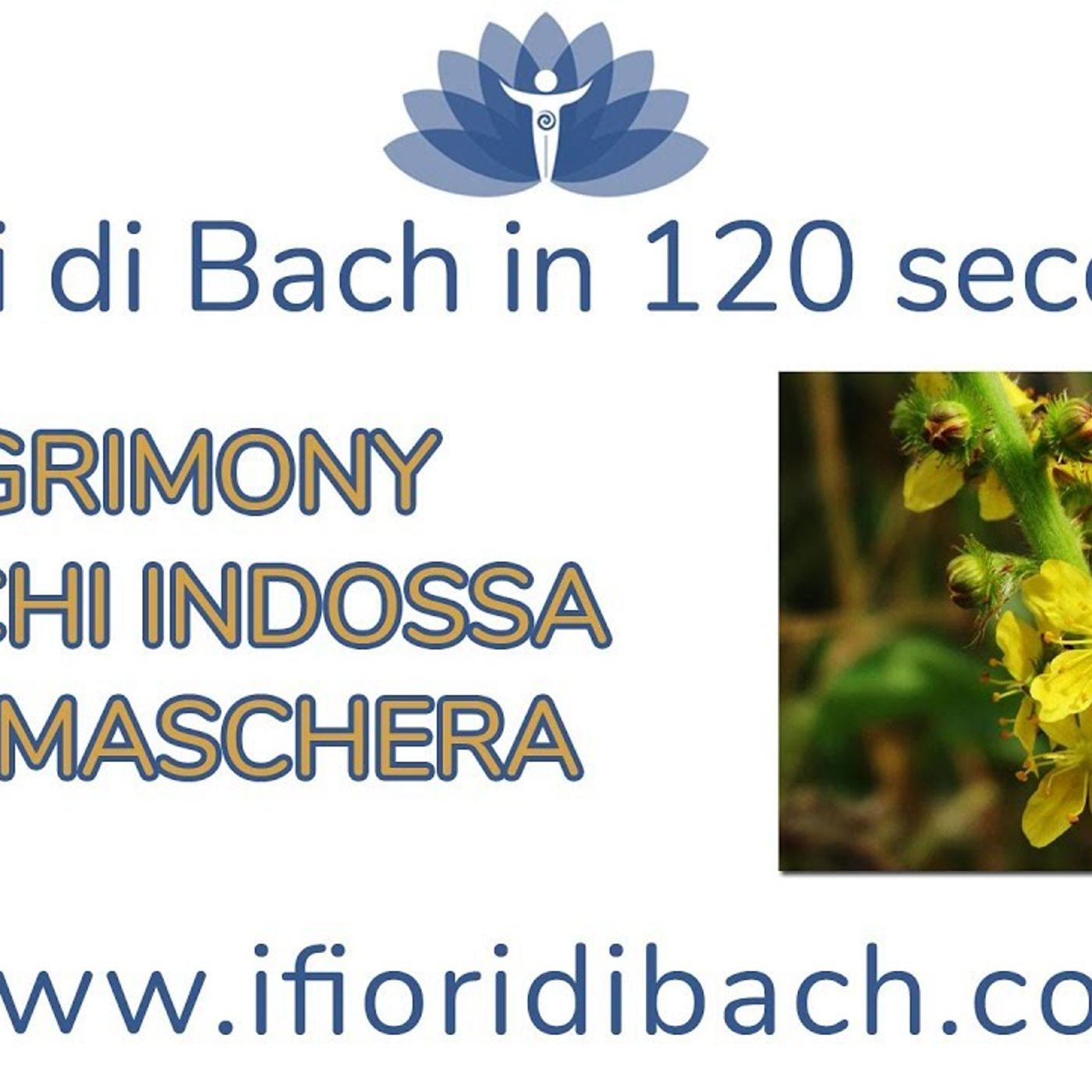 Agrimony fiori di Bach per la sensibilità alle influenze e alle idee altrui episode artwork