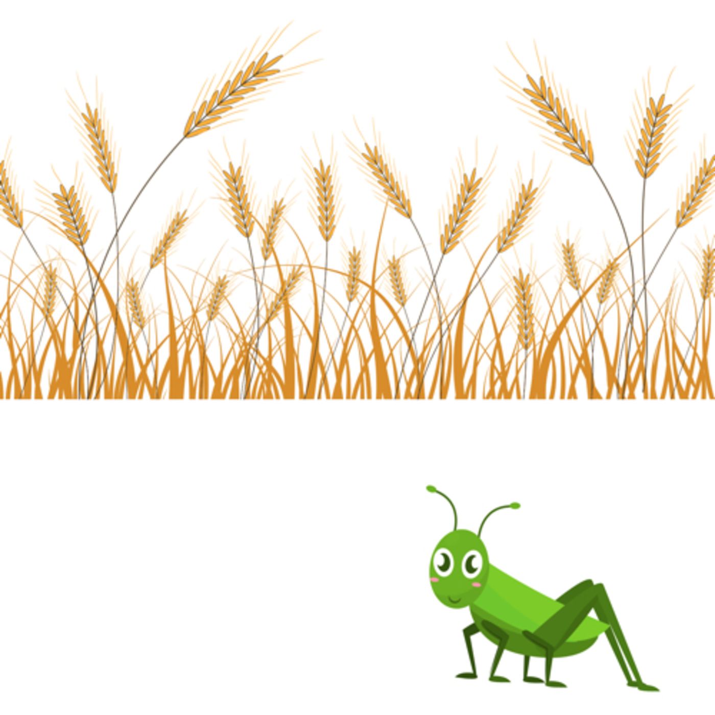 EL GRILLO LÓPEZ EN EL TRIGO DE CASTILLA