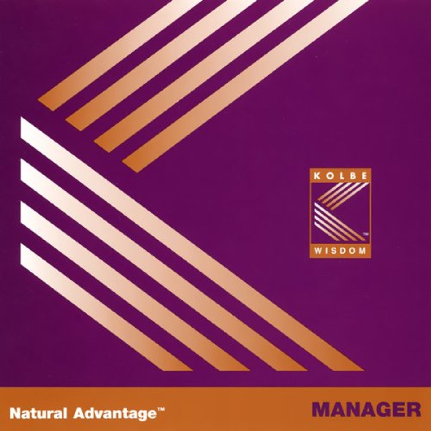 Natural Advantage Audiobook by Kathy Kolbe episode artwork