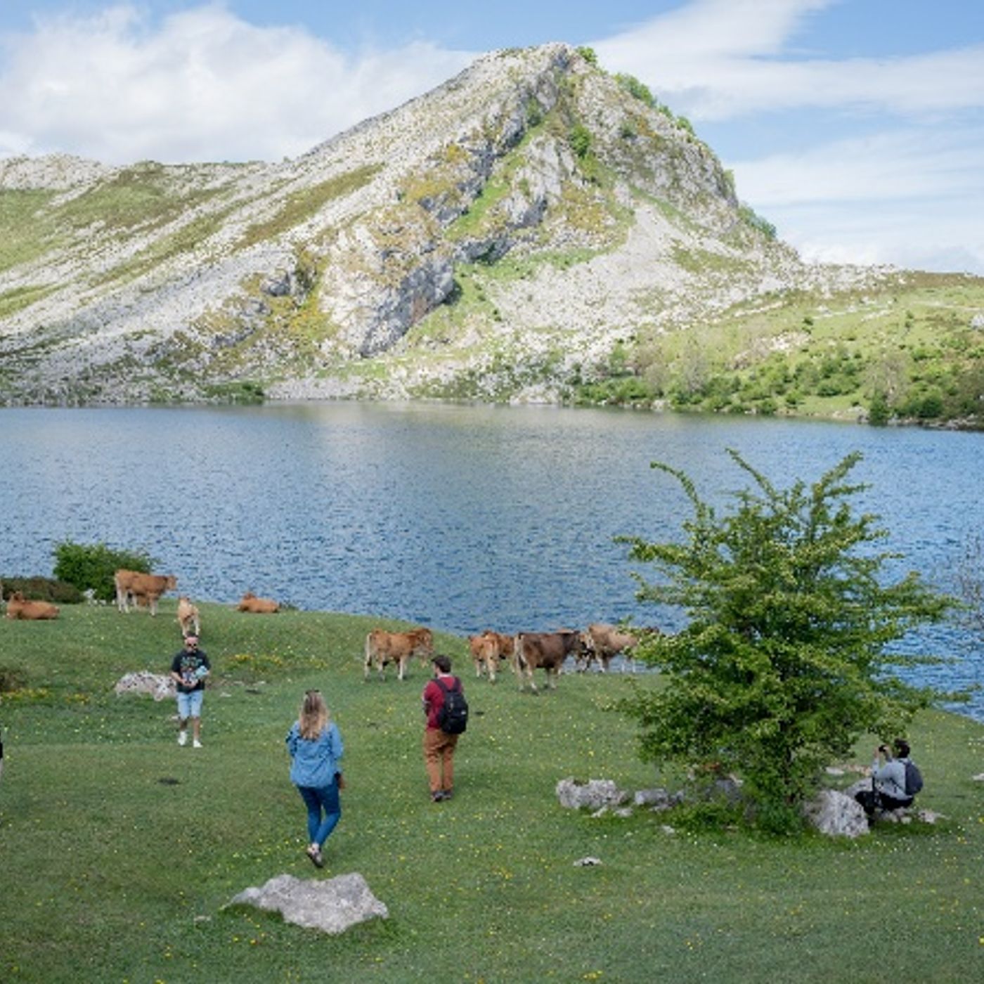SER Aventureros | Asturias se consolida como refugio climático: "Cada vez viene más gente buscando frescor y poder dormir por las noches" episode artwork