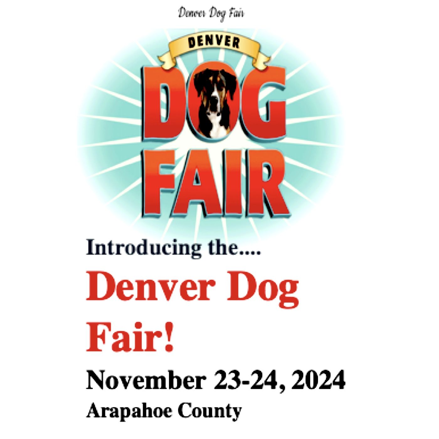 CO Denver Dog Fair