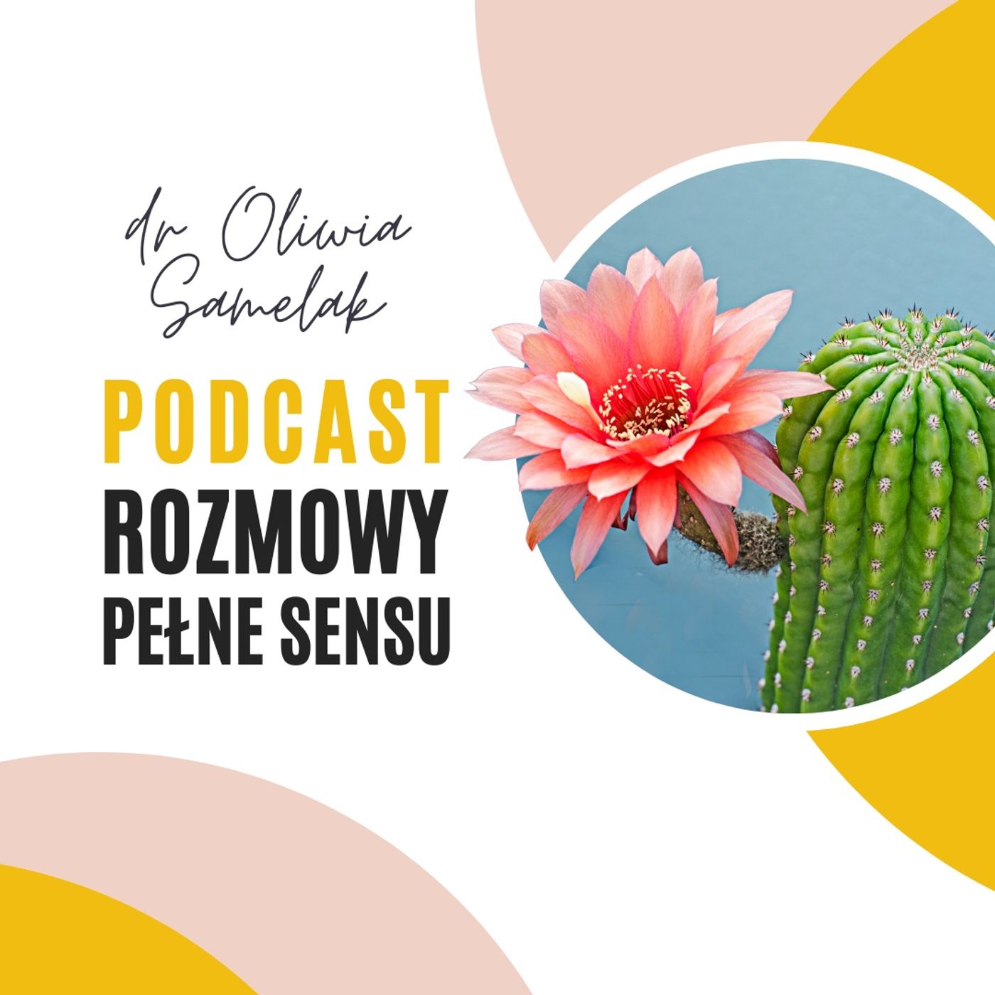 Rozmowy pełne sensu