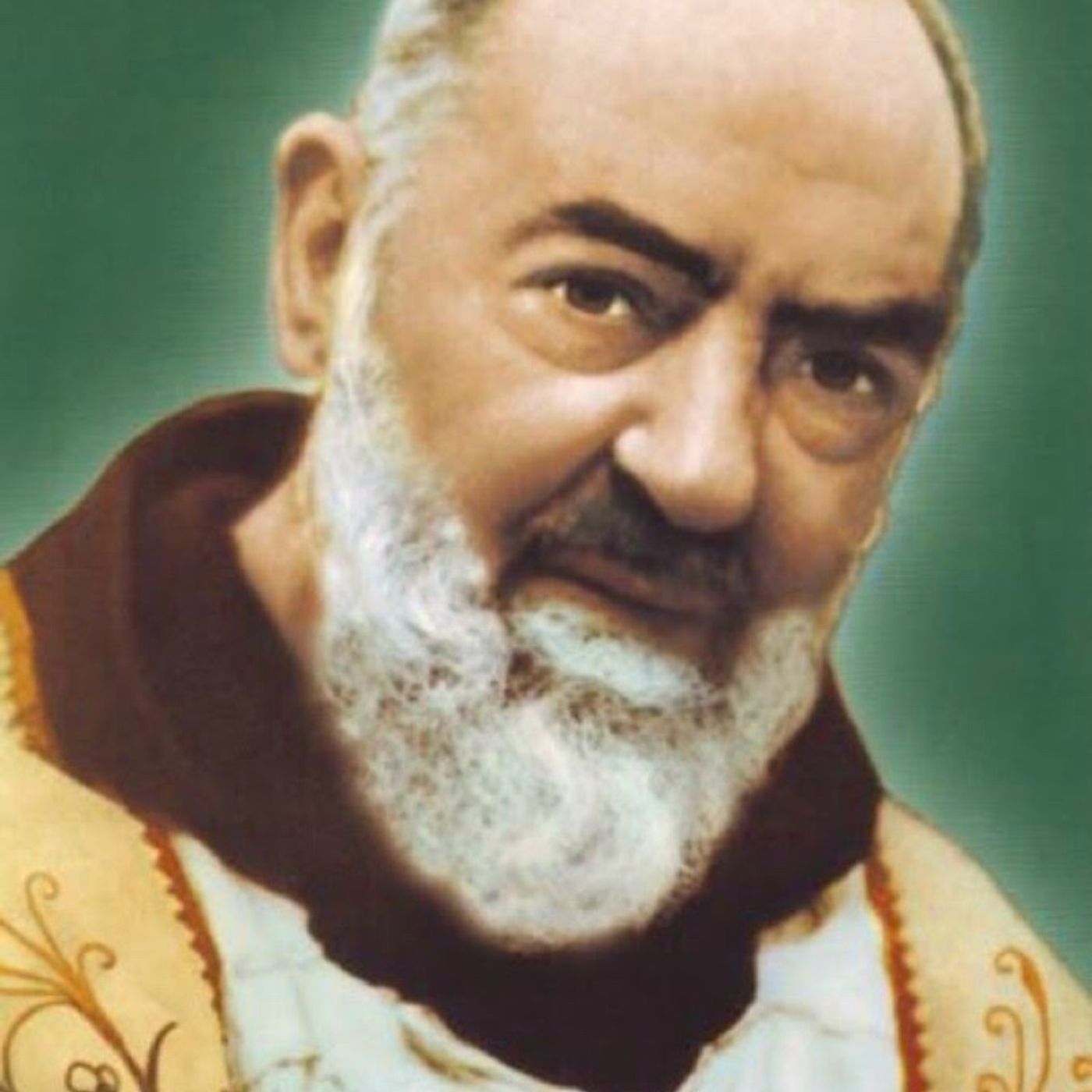 Papa Benedetto 16/SER Gänswein