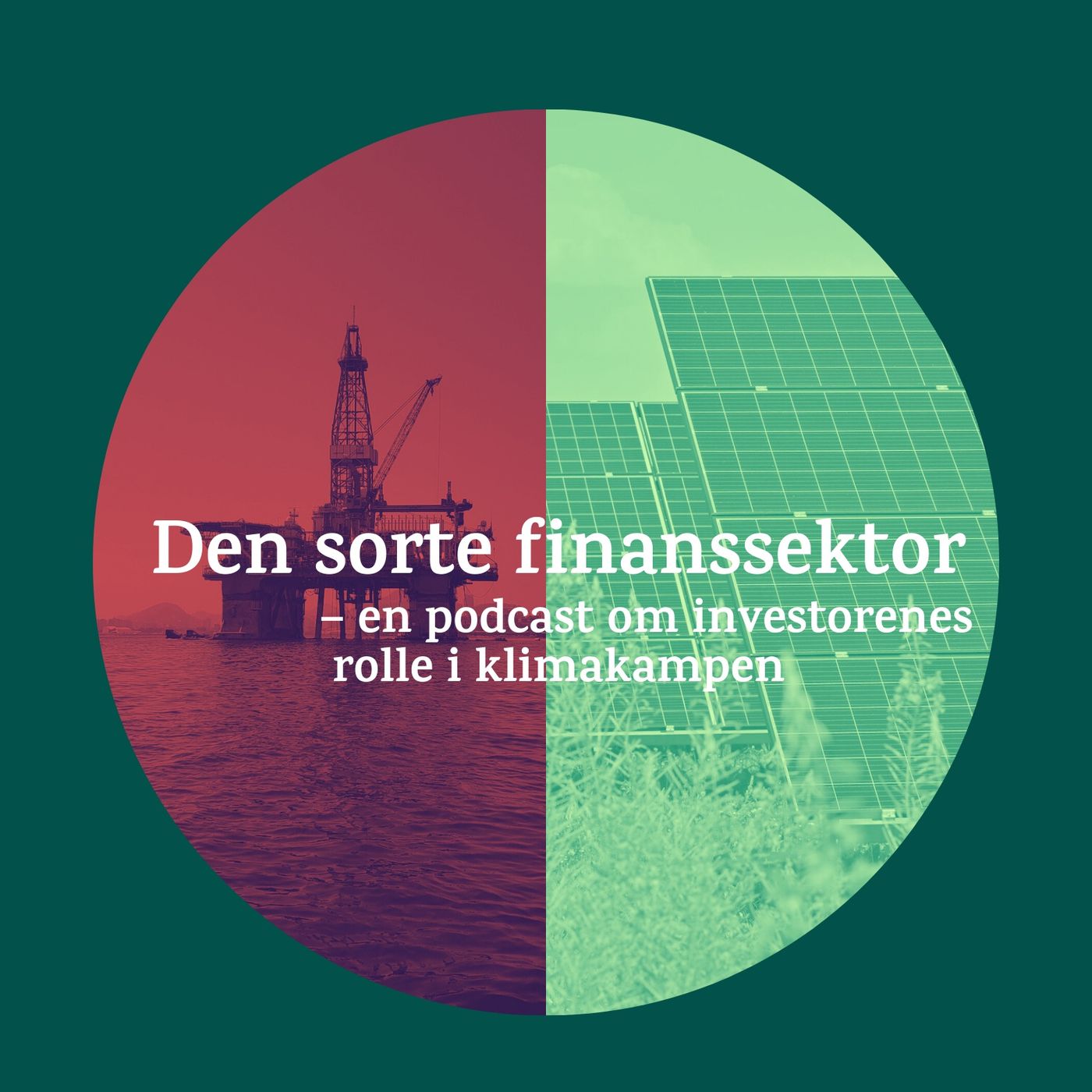 Den sorte finanssektor cover art