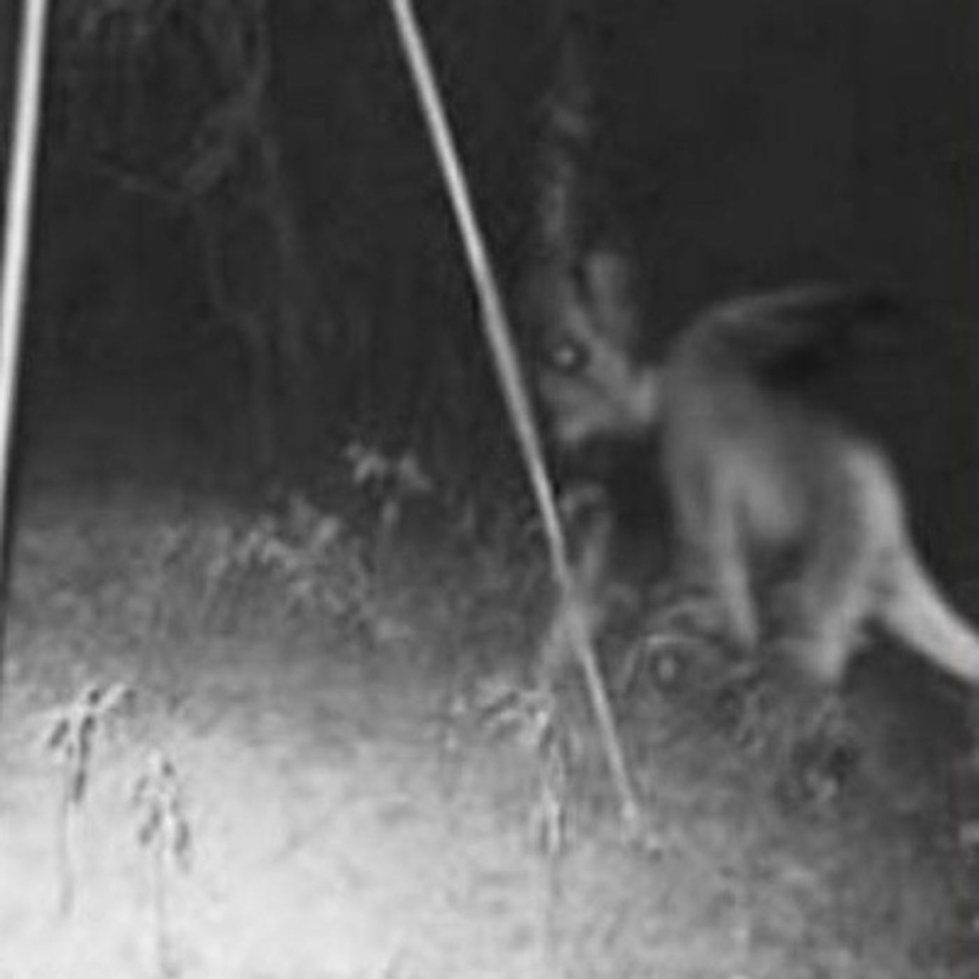 Chuckles' Crypt #61 episode artwork