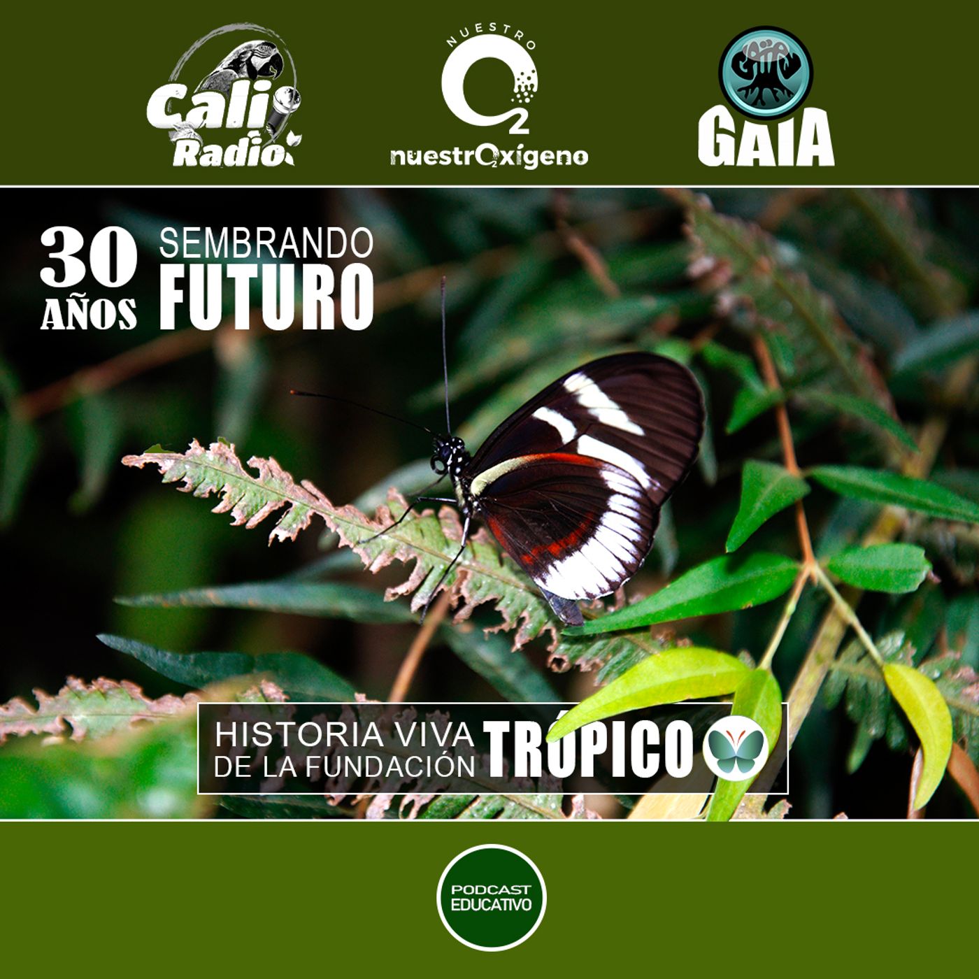 2025 Nuestro Oxigeno 06- Junio