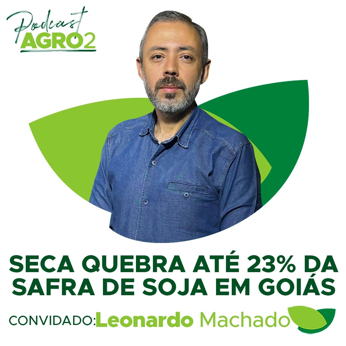 Seca quebra até 23% da safra de soja em Goiás: veja como reduzir prejuízo de dívidas de crédito #256 episode artwork