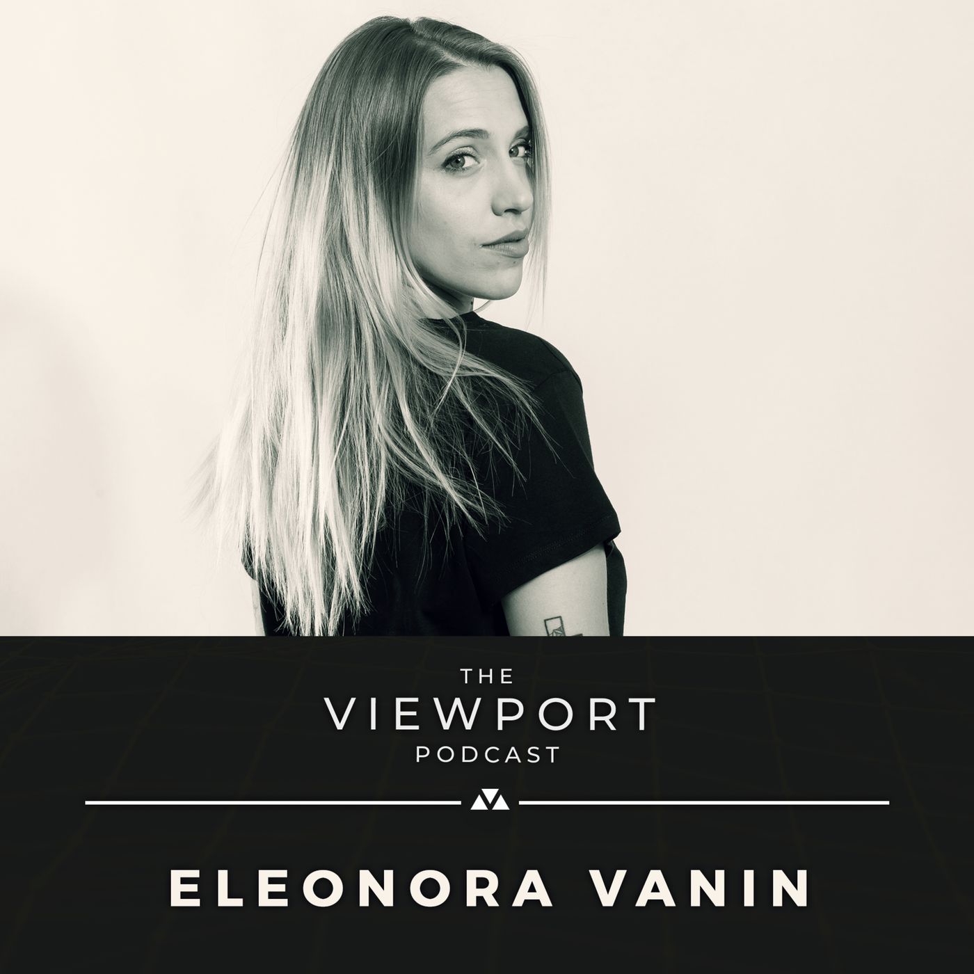 The Viewport Podcast