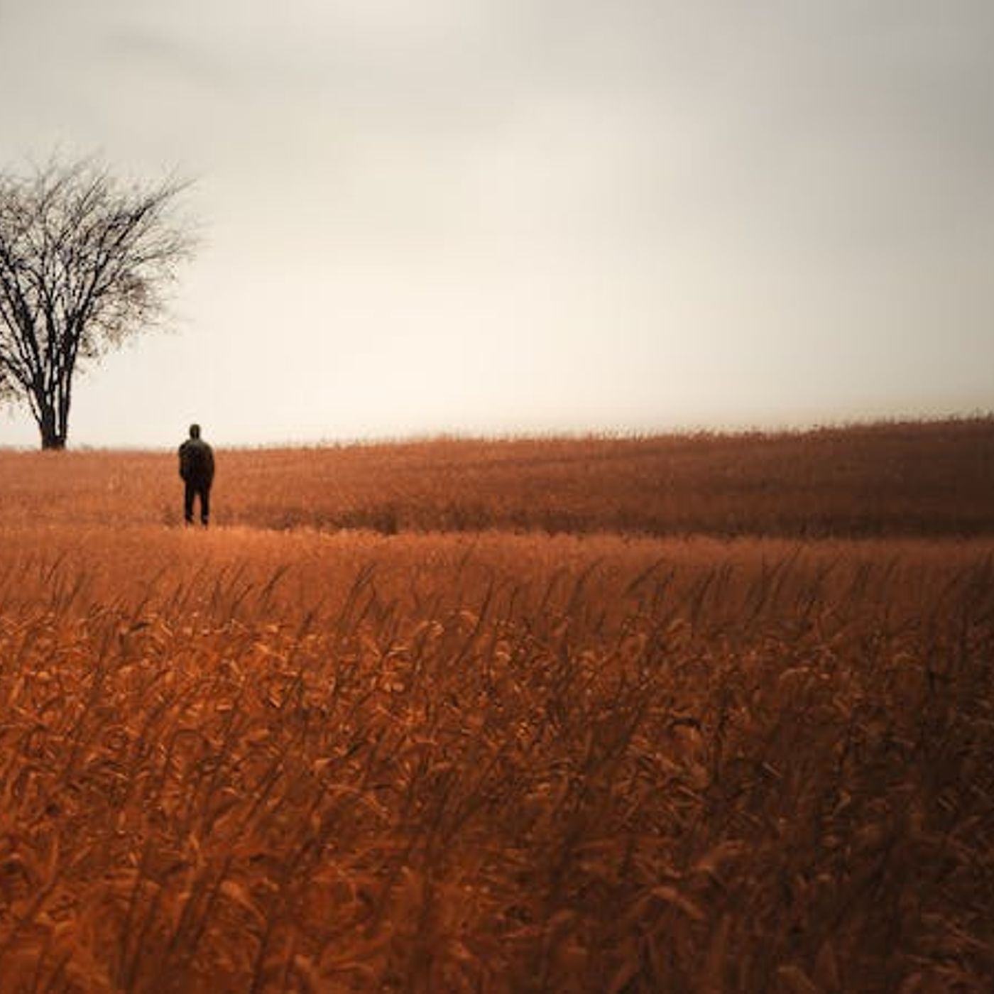 Should I Ever Pursue My Dreams?