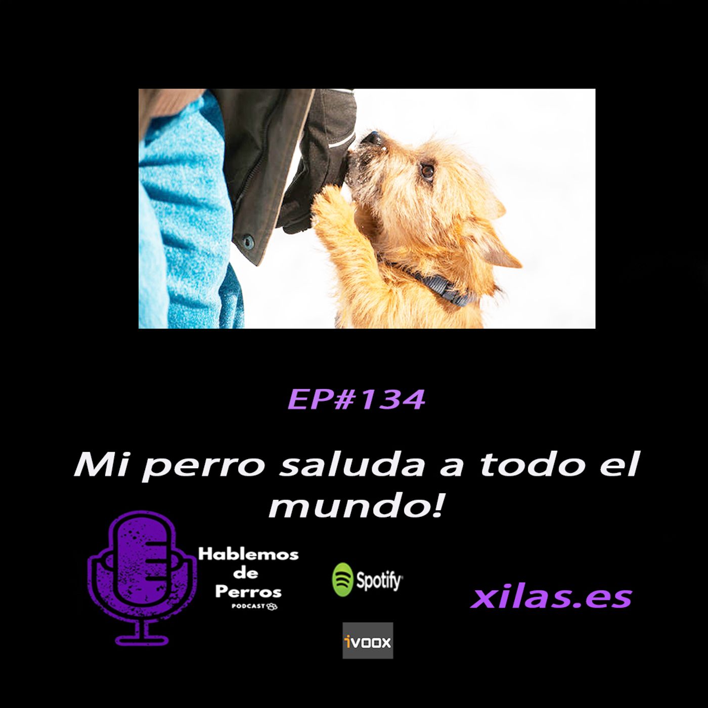 Hablemos de perros