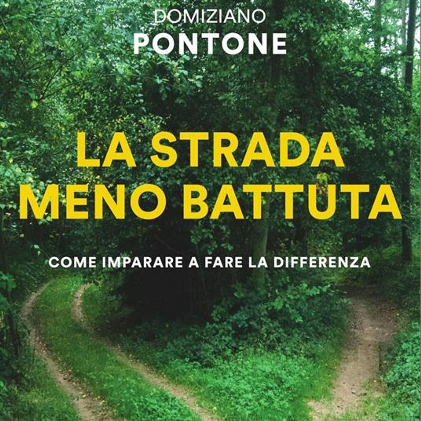 Domiziano Pontone "La strada meno battuta"