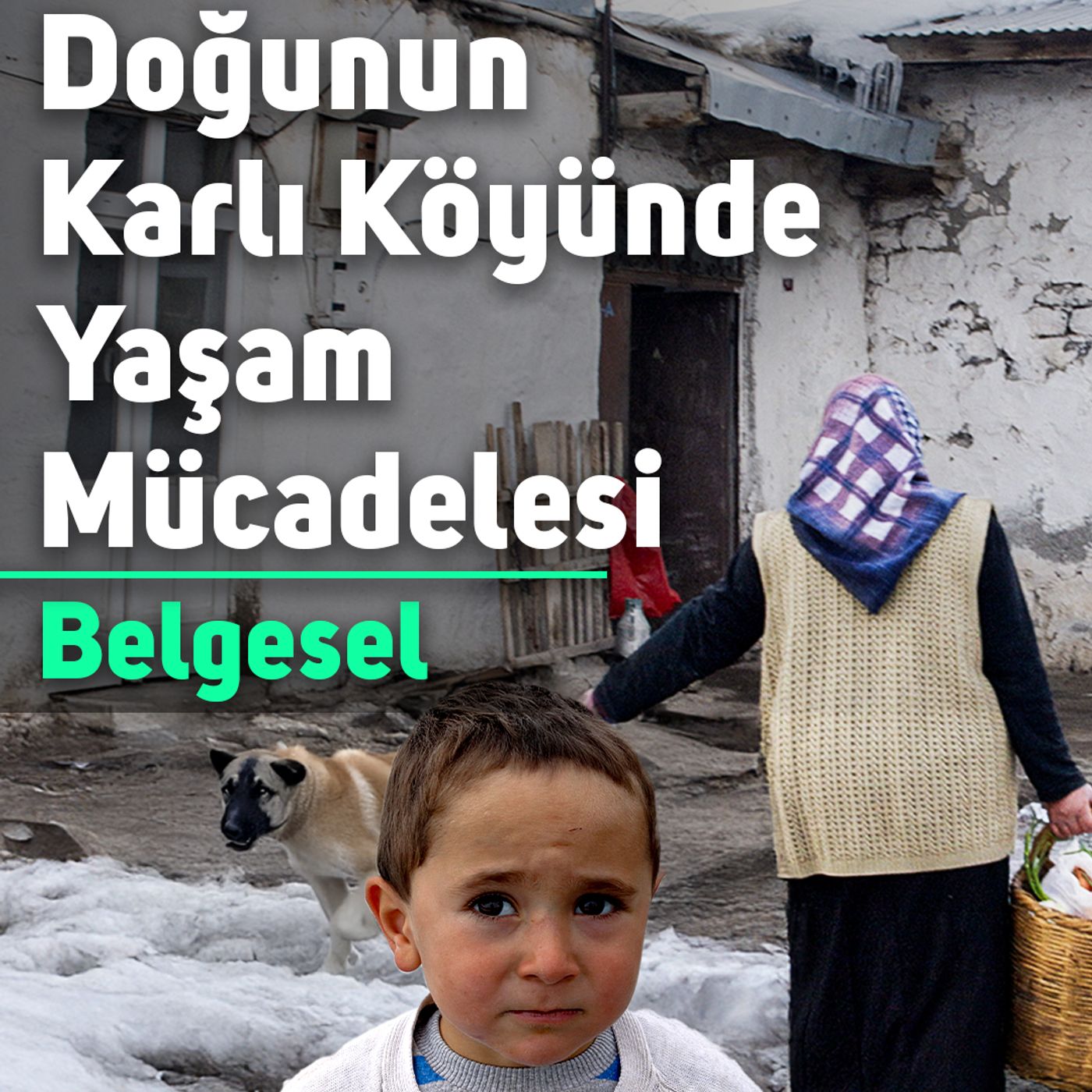 Hayalhanem