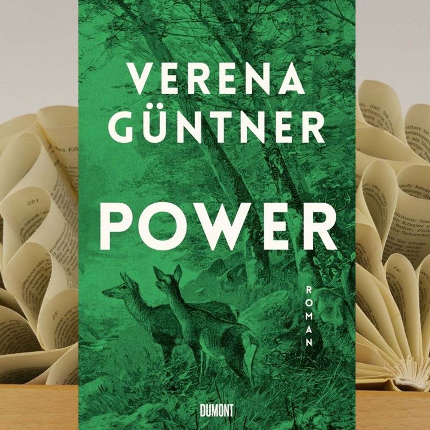 20.02. Verena Güntner - Power (Renate Zimmermann) episode artwork