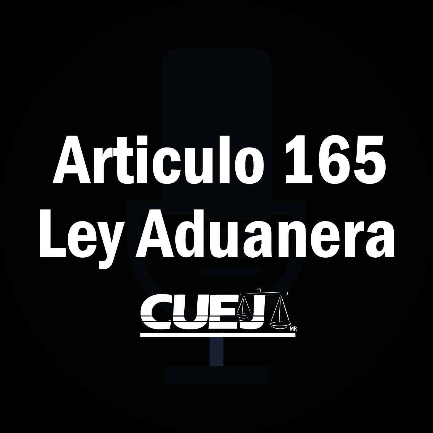 Audio Ley Aduanera