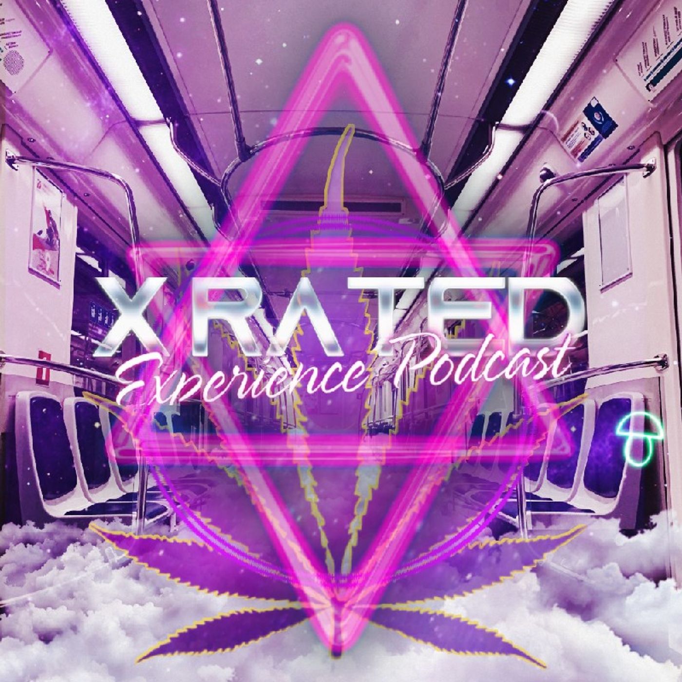 Bonus Live Content Of The X-RATED EXPERIENCE PODCAST episode artwork