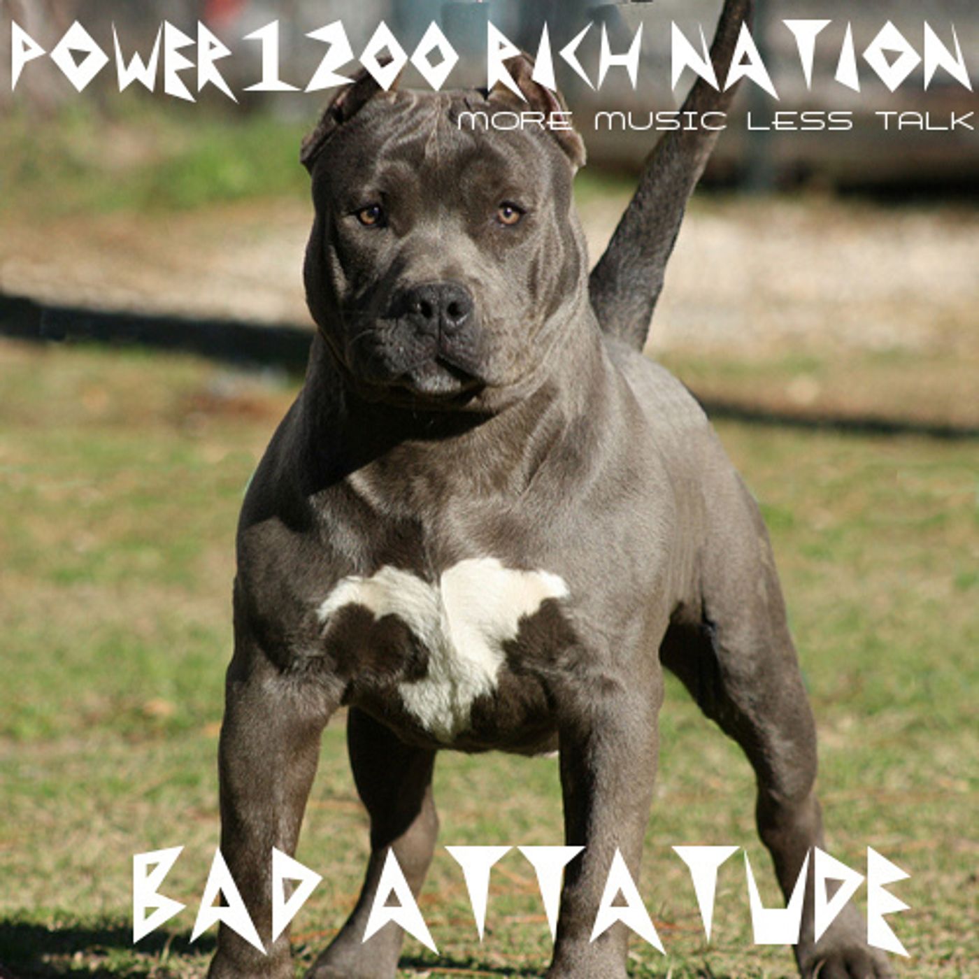 POWER1200 RICH NATION 'BAD ATTATUDE'