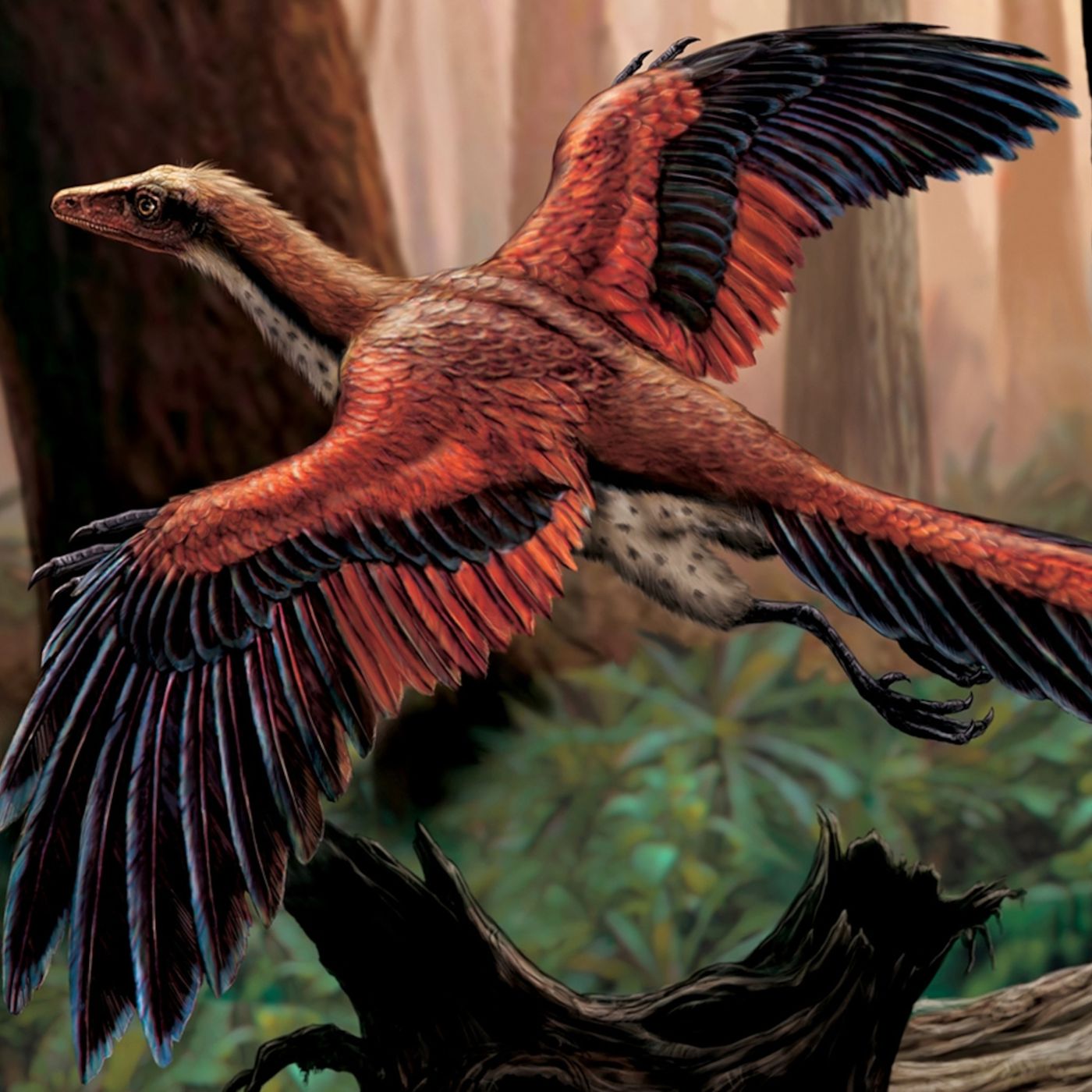 El archaeopteryx