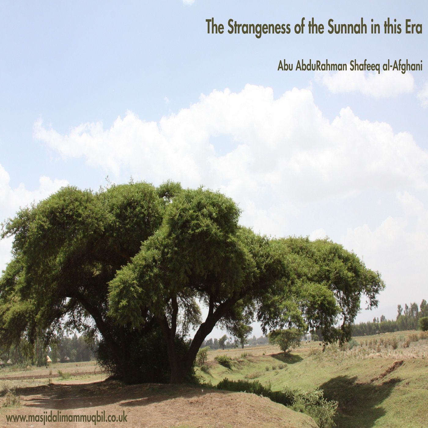 The Strangeness of the Sunnah in this Era | Abu AbduRahman Shafeeq al-Afghani episode artwork