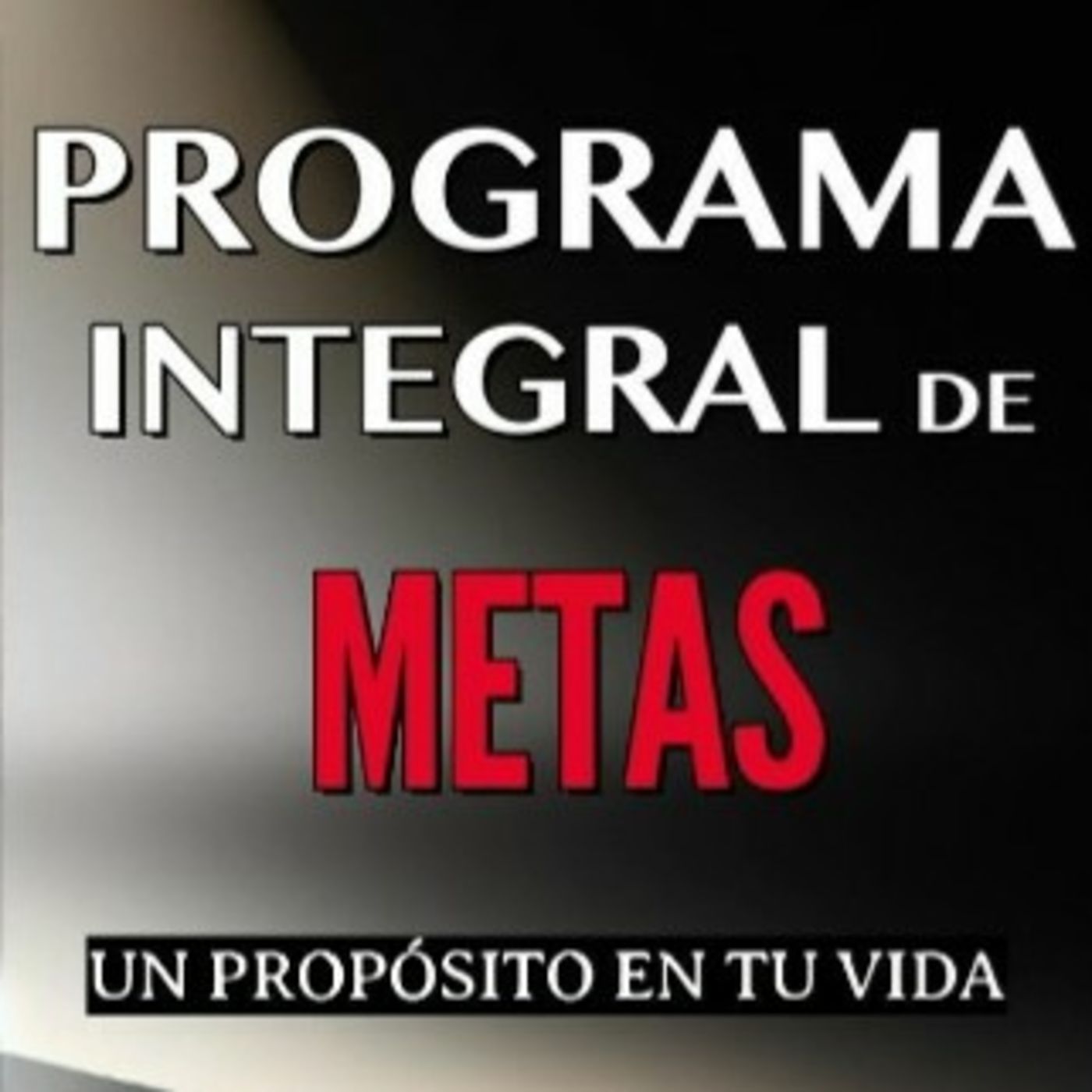 Programa integral de metas. episode artwork