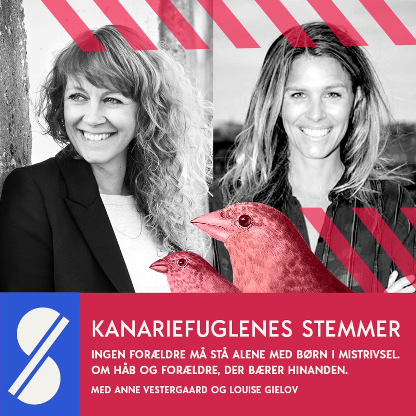 Kanariefuglenes stemmer