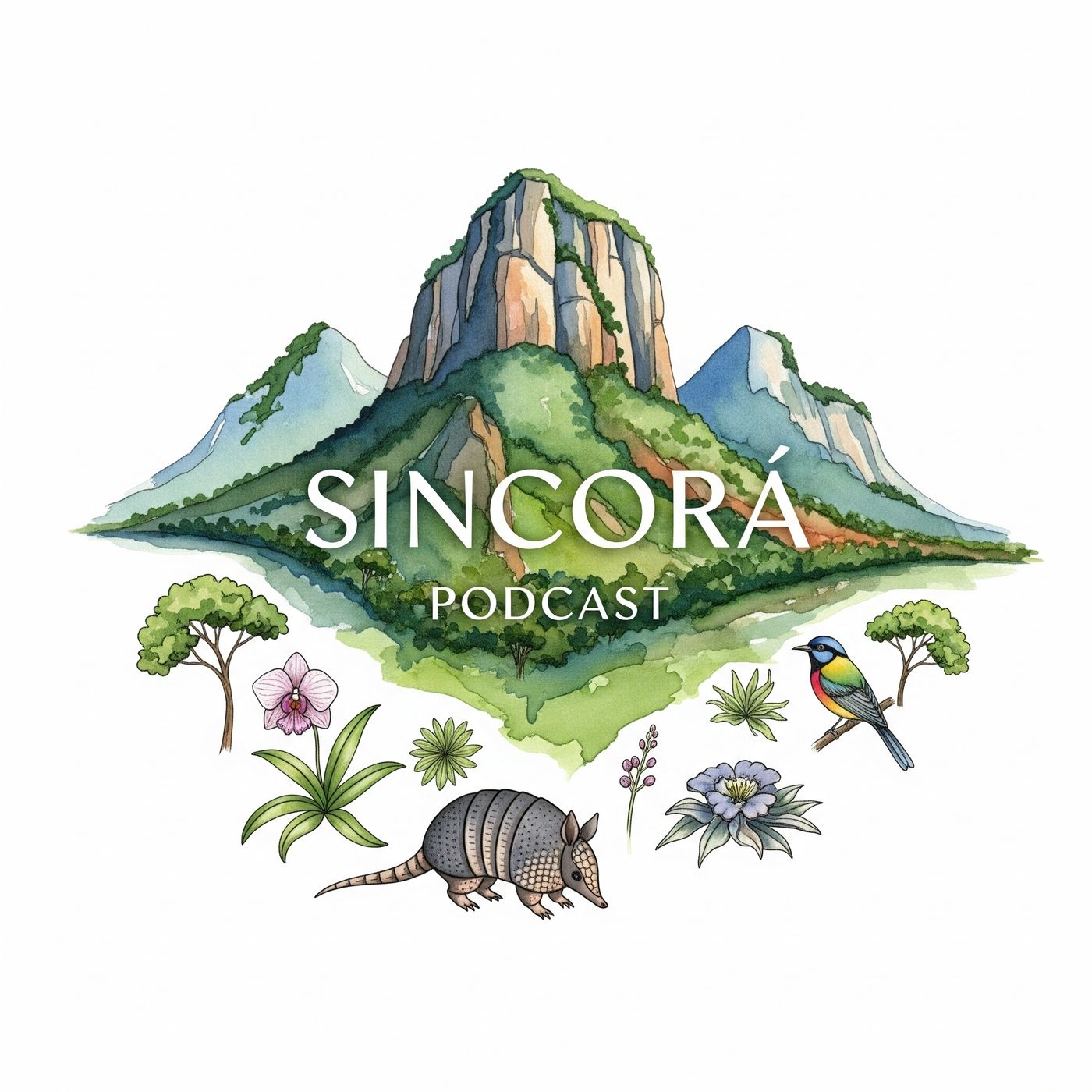 Sincorá Podcast