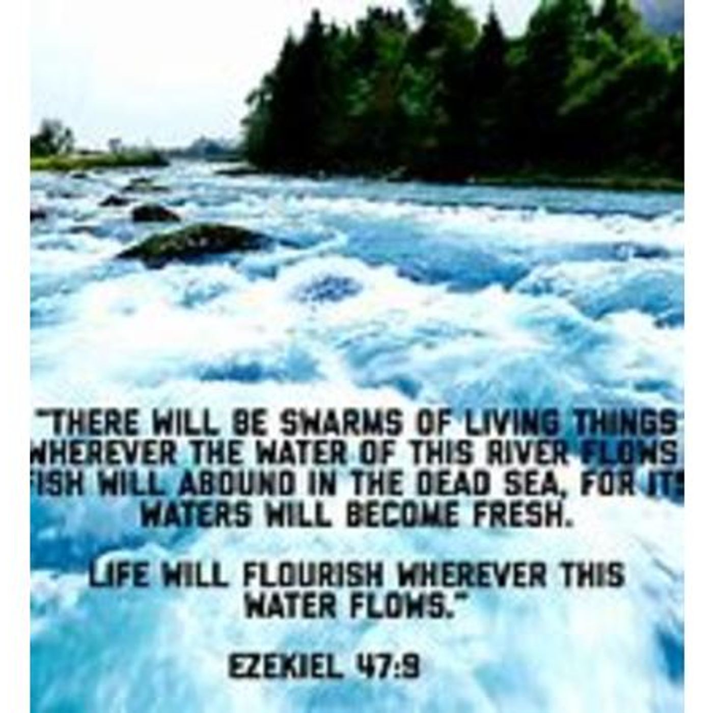 God’s Revival Streams (Part 1) Ezekiel 47:9 - S16 [B361] episode artwork