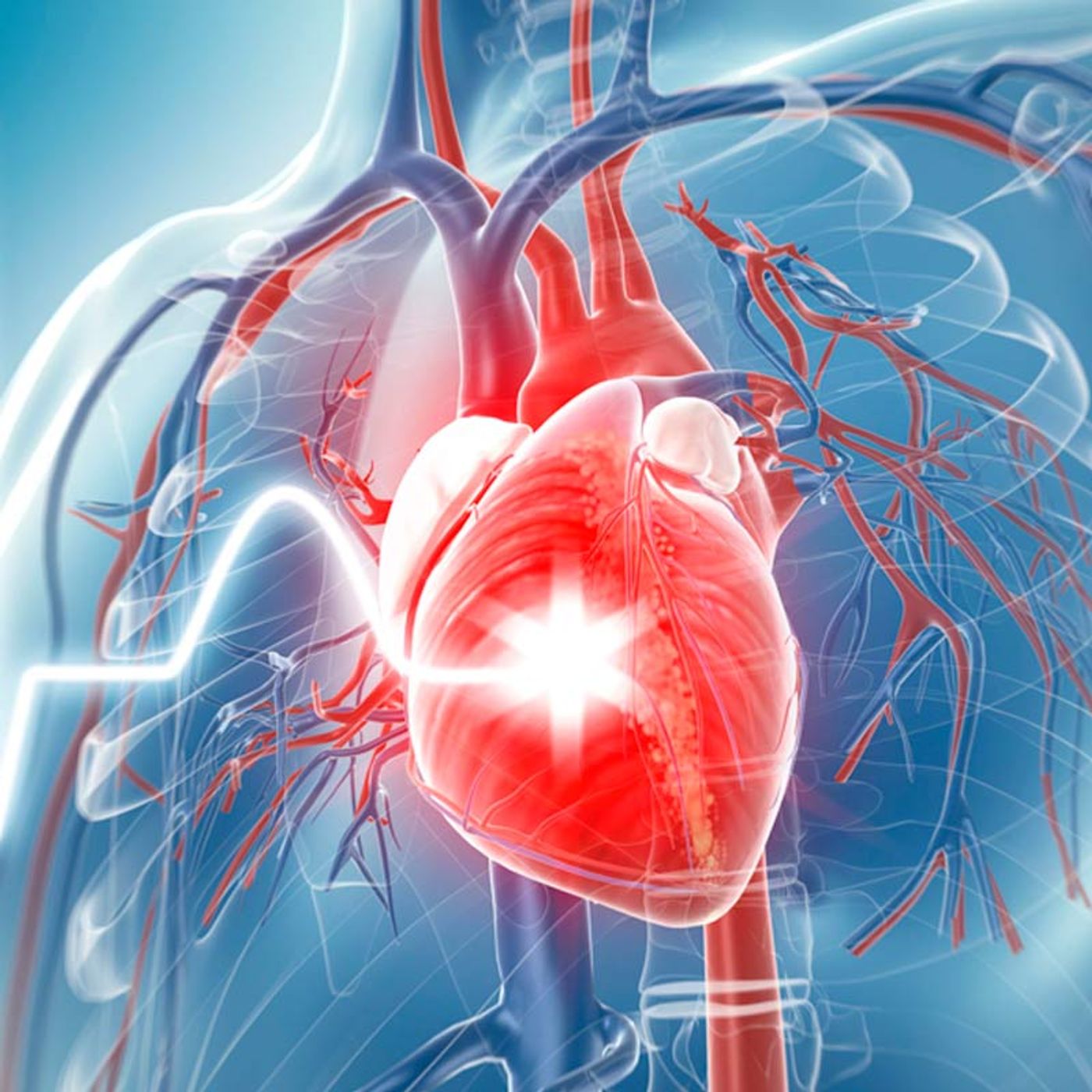 Nutrición: Tips para prevenir enfermedades cardiovasculares episode artwork