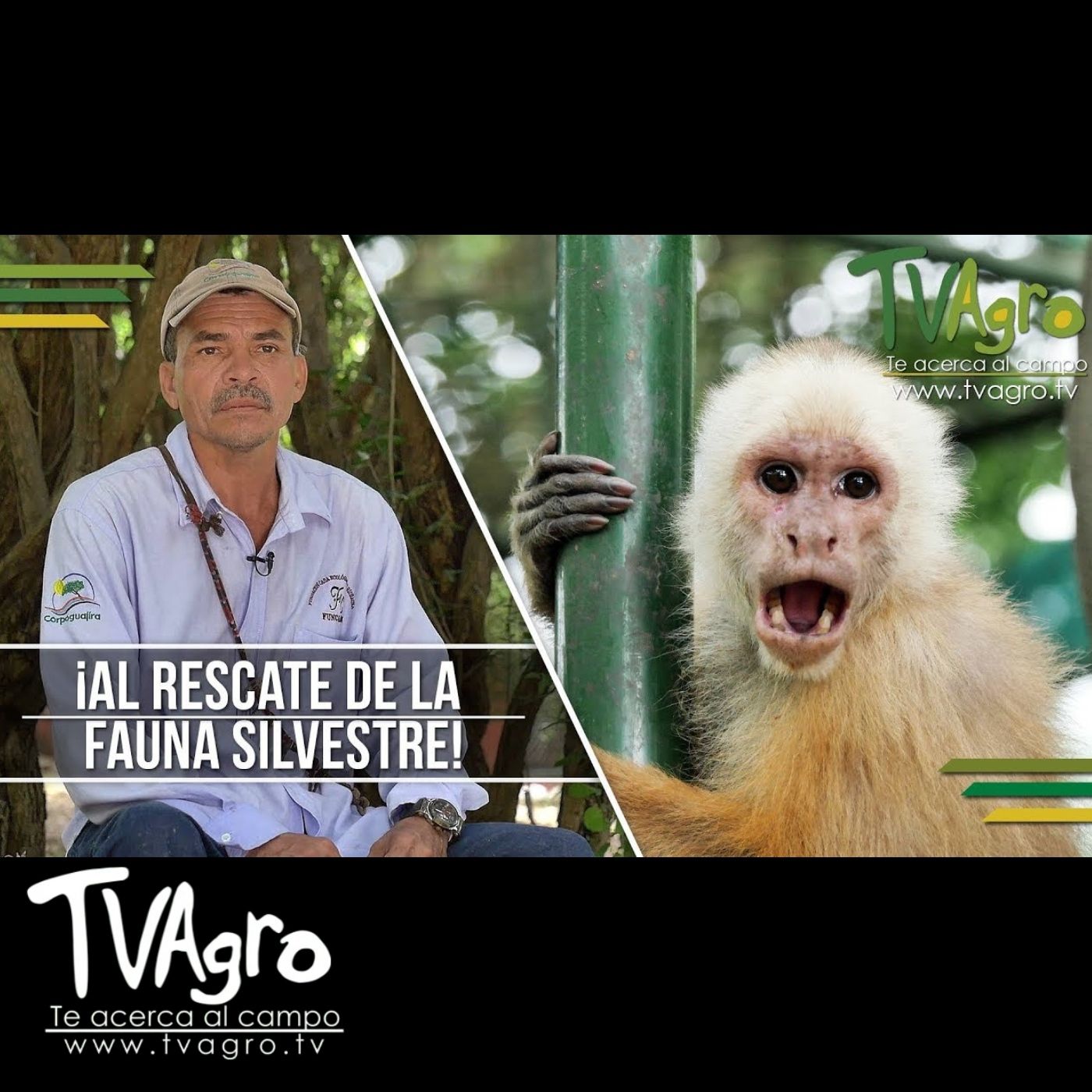 TV AGRO