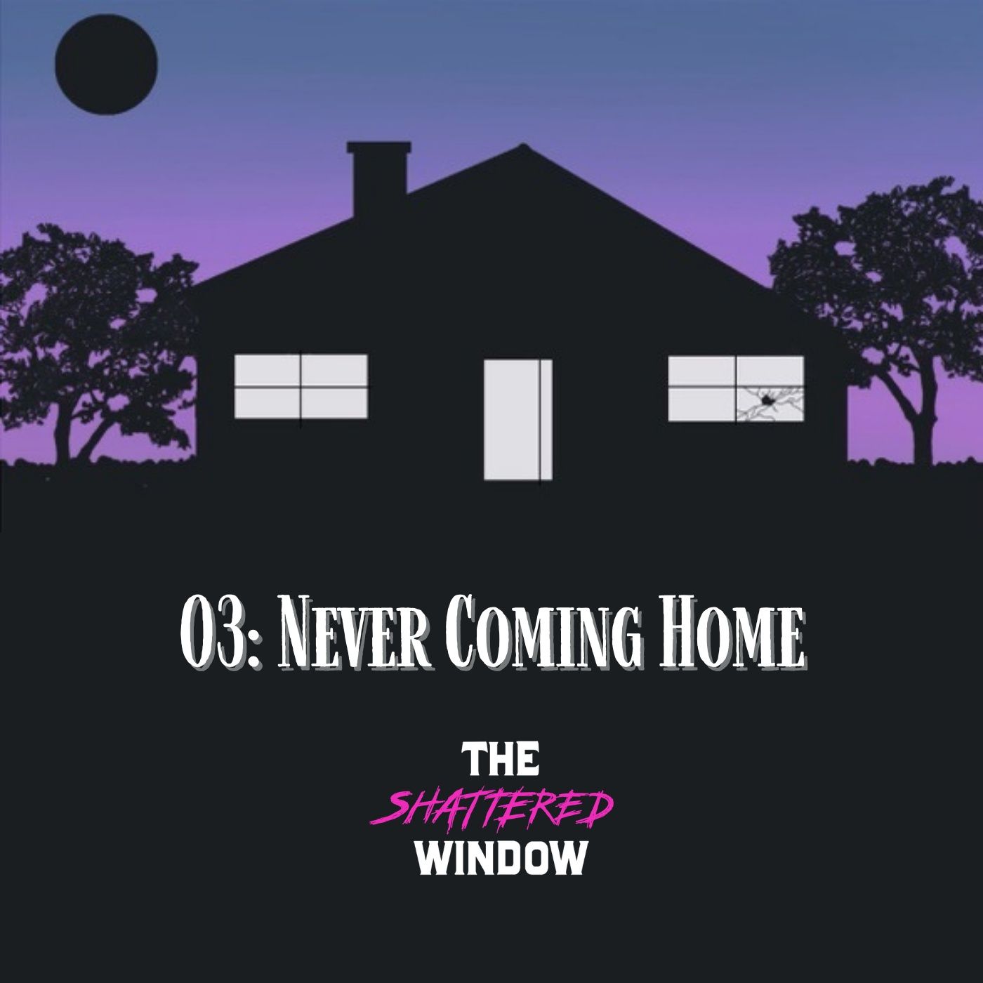 03: Never Coming Home