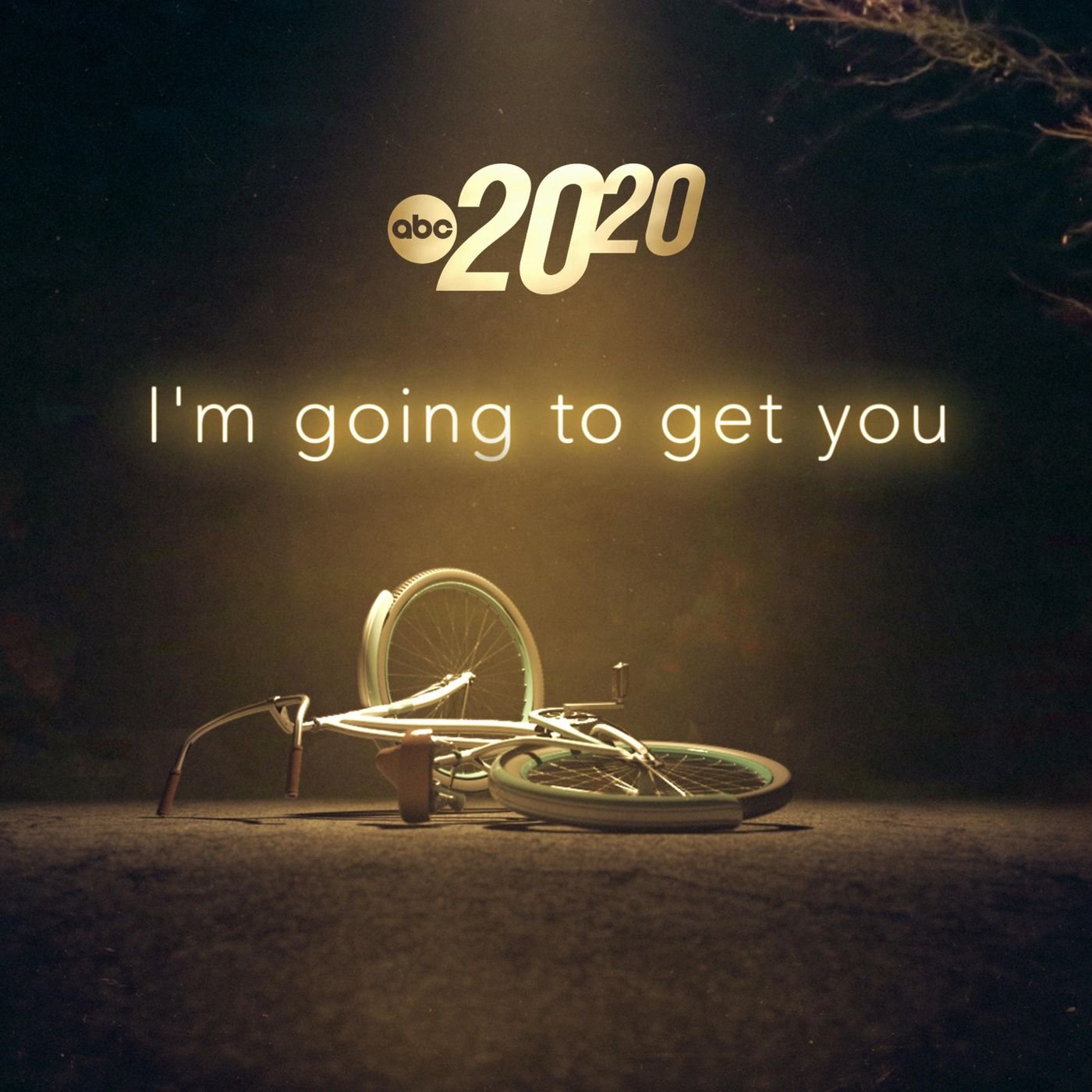 I'm Going to Get You (Rebroadcast)