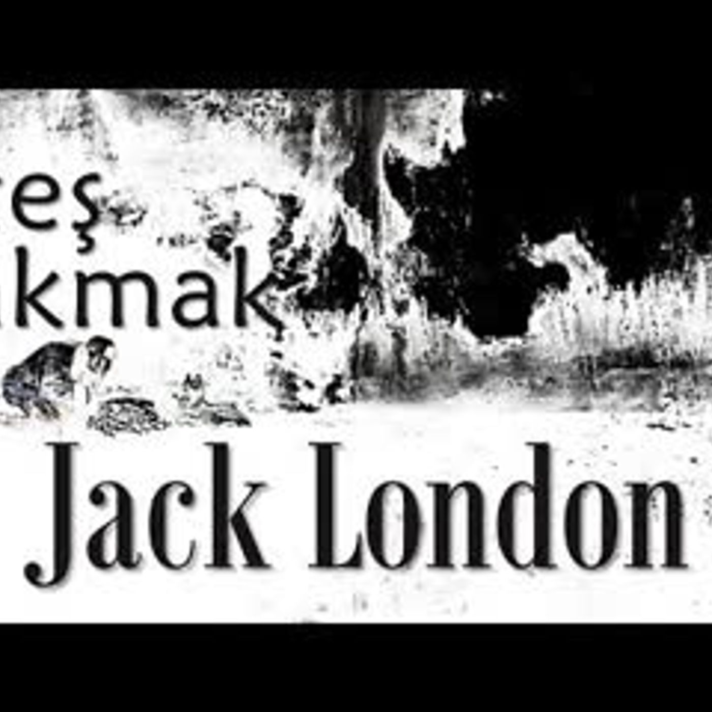 Akın Altan Sesli Kitap