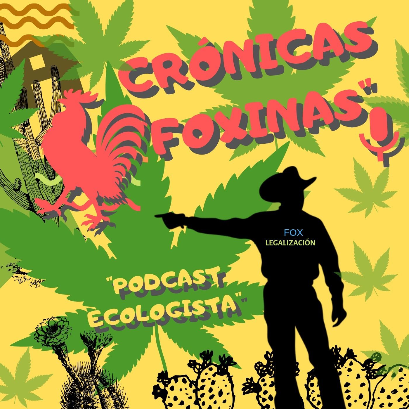 KCDMX Podcast