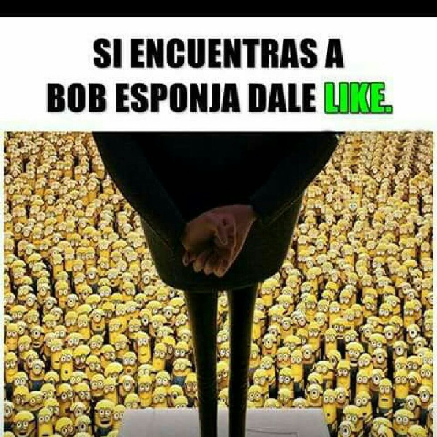 Nilson Chavarria's show