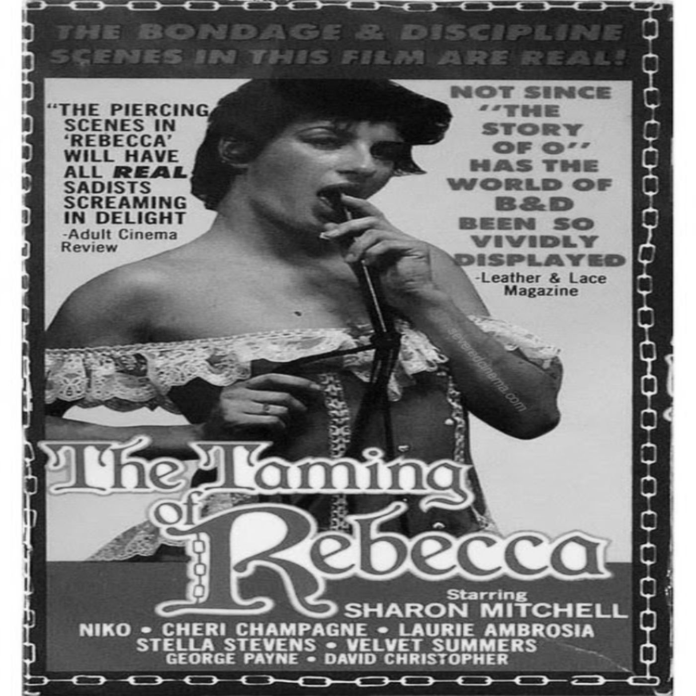 The Taming Of Rebecca (1982) Adult Movie Review episode artwork