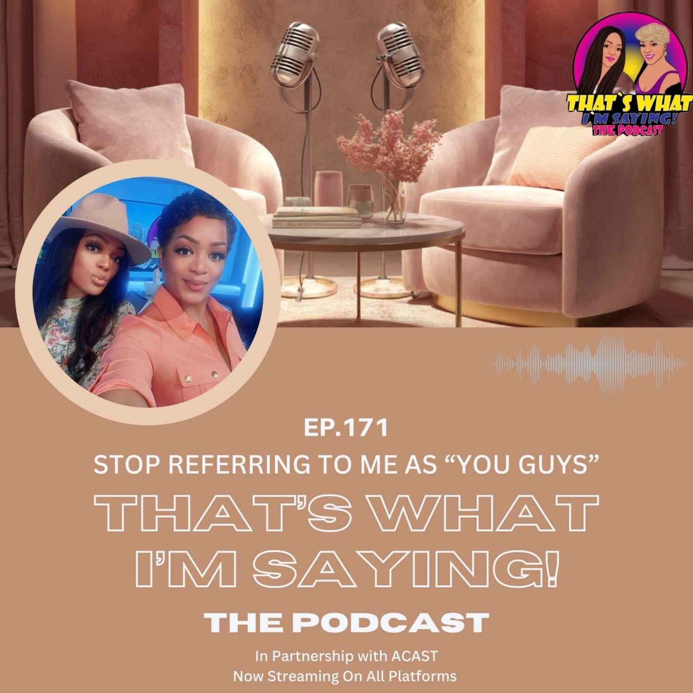 STOP REFERRING TO ME AS “YOU GUYS” episode artwork