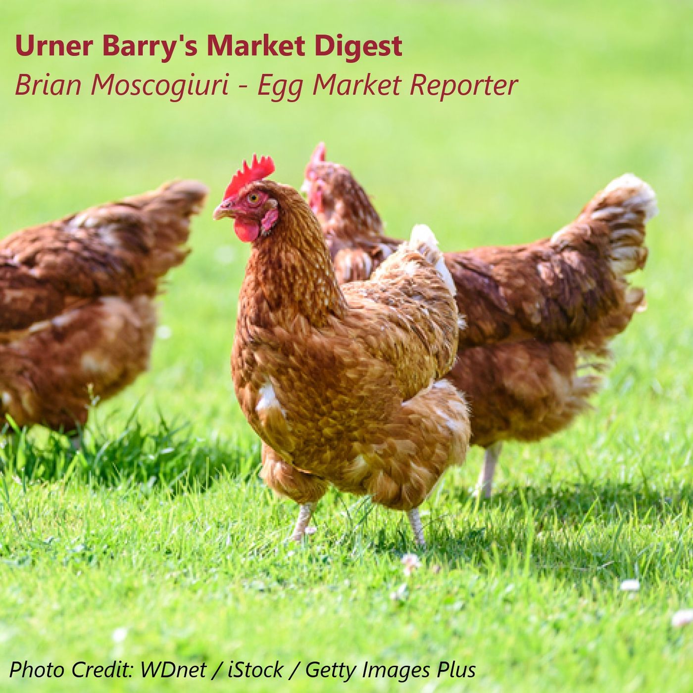 Urner Barry\'s Market Digest