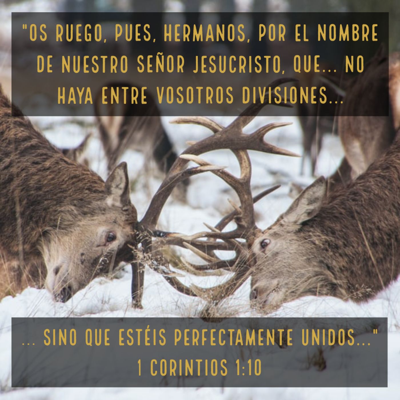 Barómetro Espiritual (1ra Corintios)