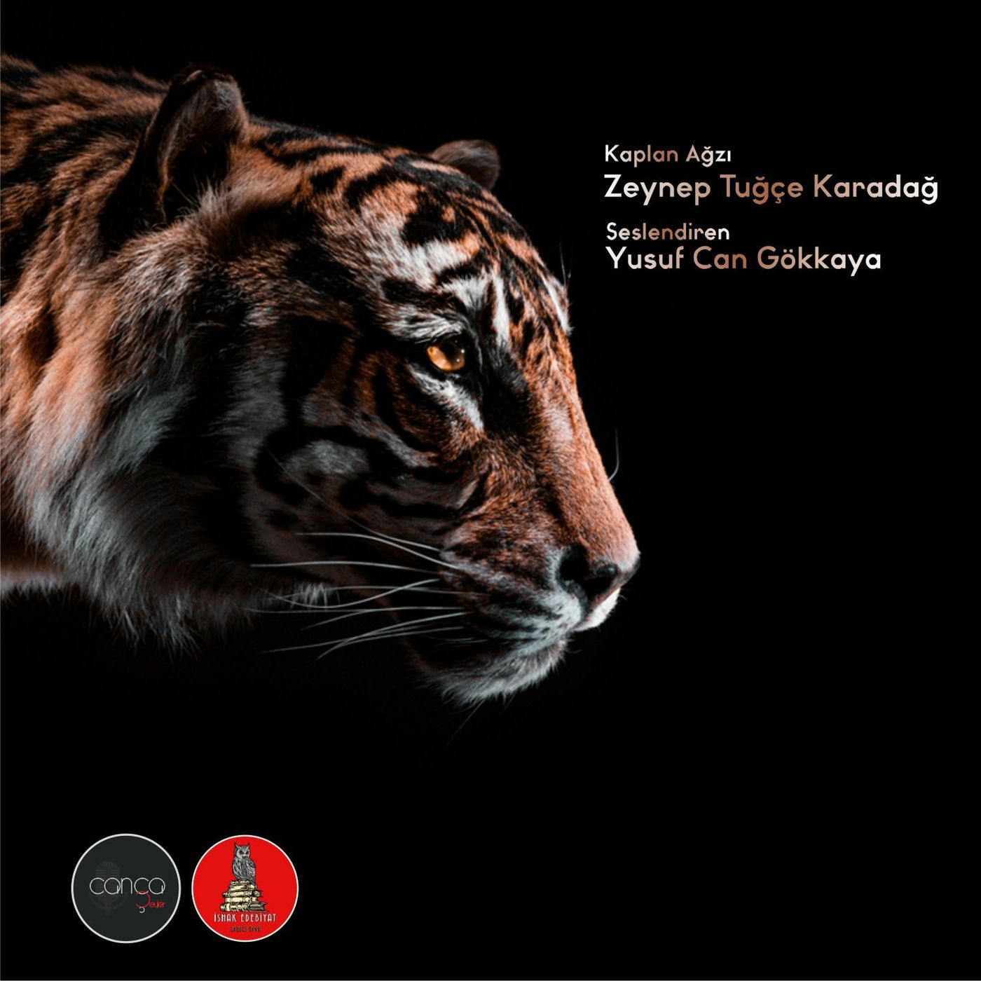 Öykü | Zeynep Tuğçe Karadağ - Kaplan Ağzı episode artwork