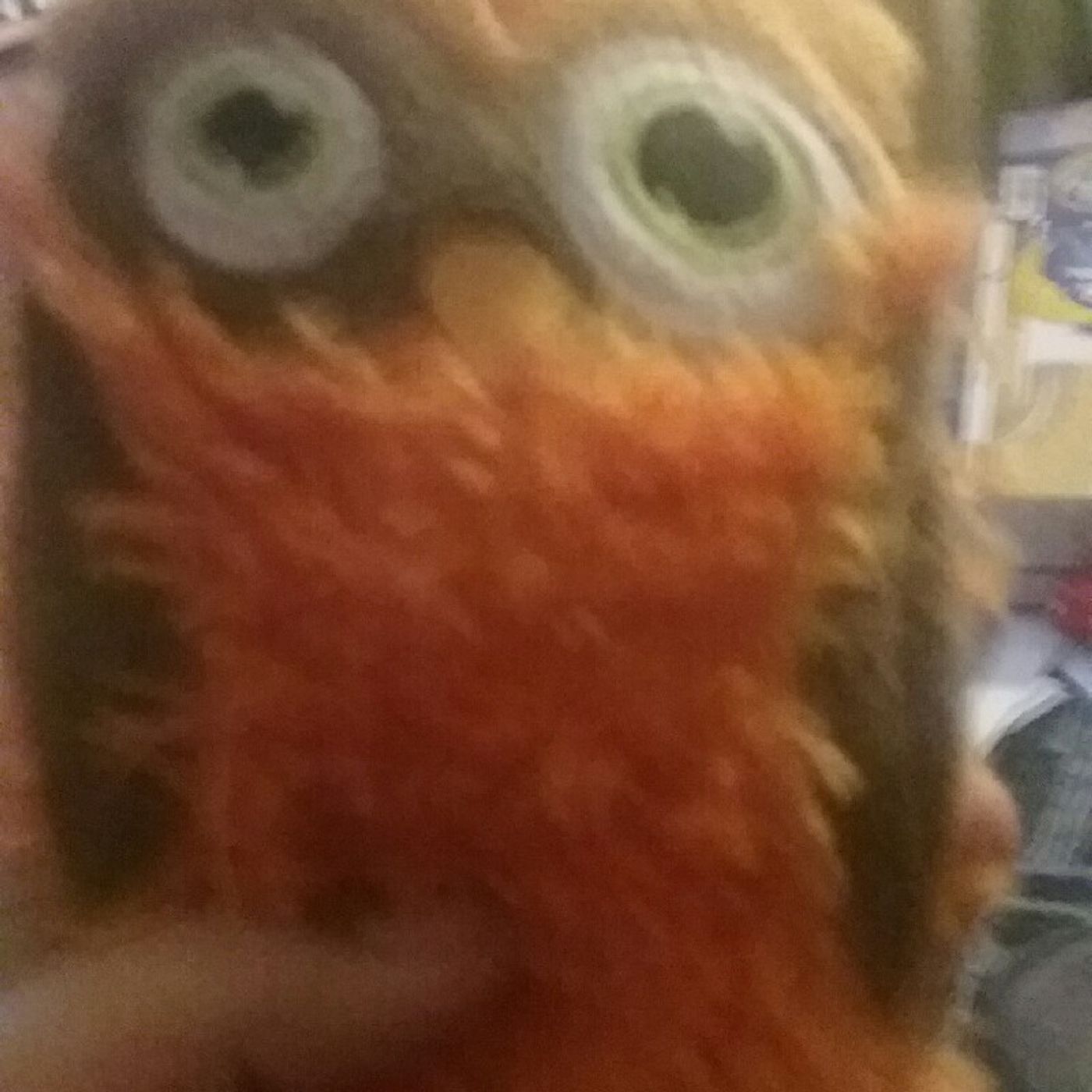 Devin M Baca\'s show