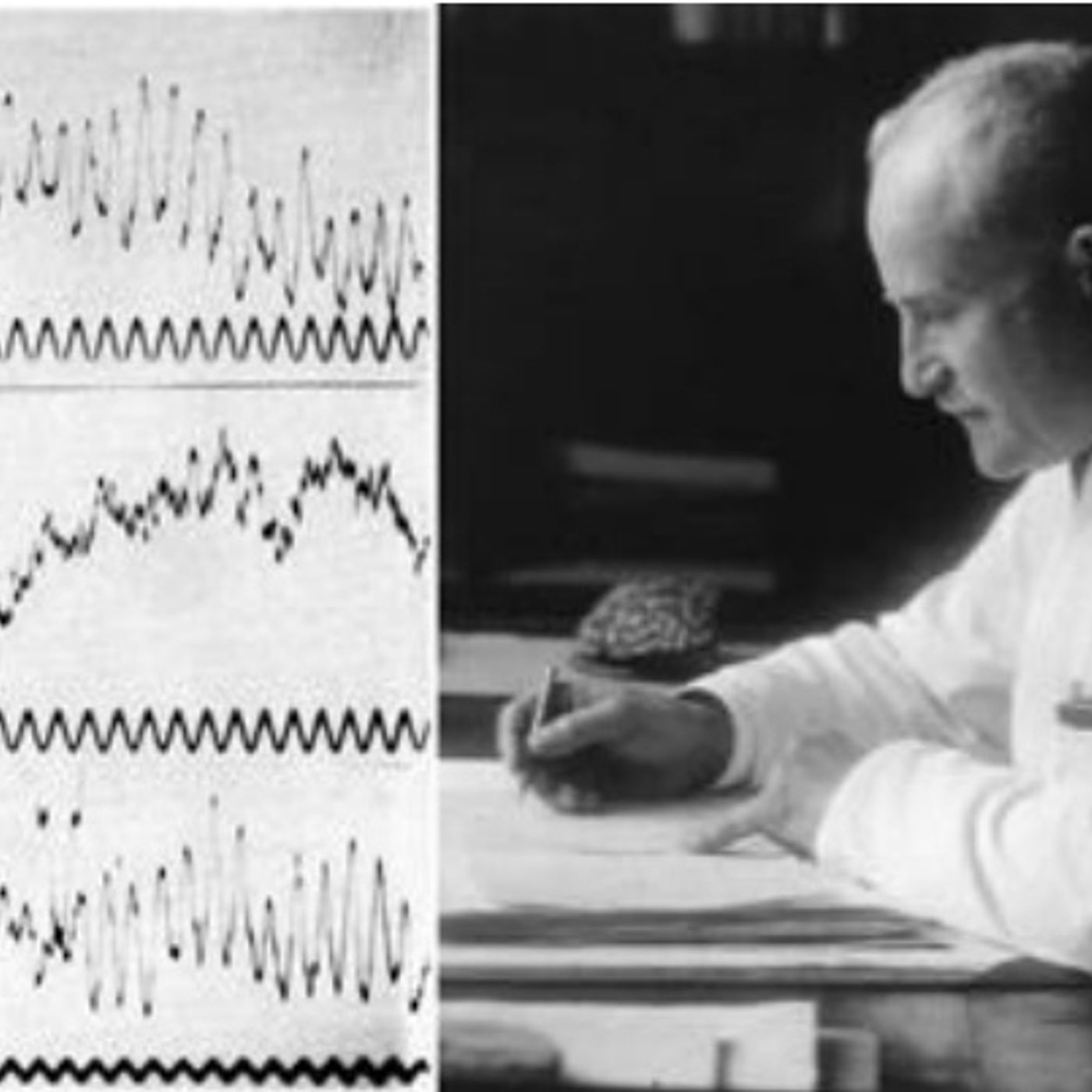 Pillole di Storia della Medicina