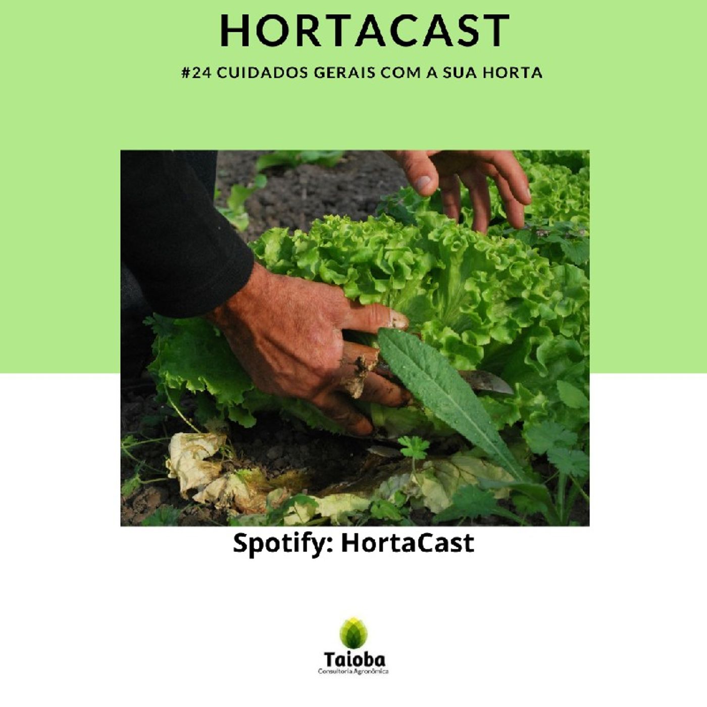 HortaCast\'s show